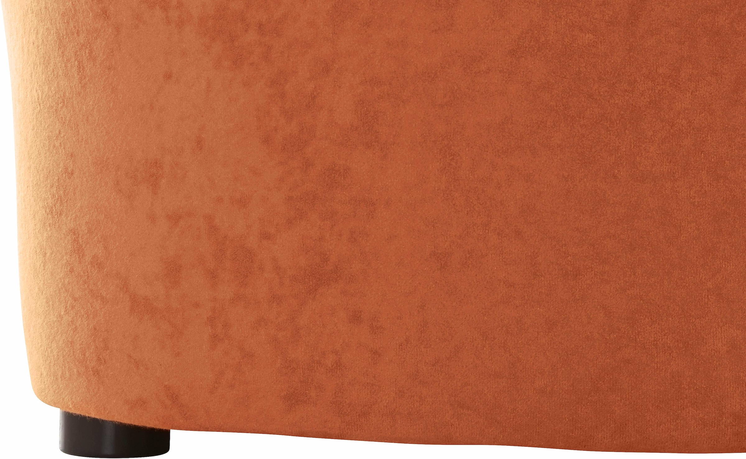 DOMO collection Ecksofa »Sarafina zeitlos und komfortabel, optional mit Federkern, L-Form«, wahlweise mit Bettfunktion