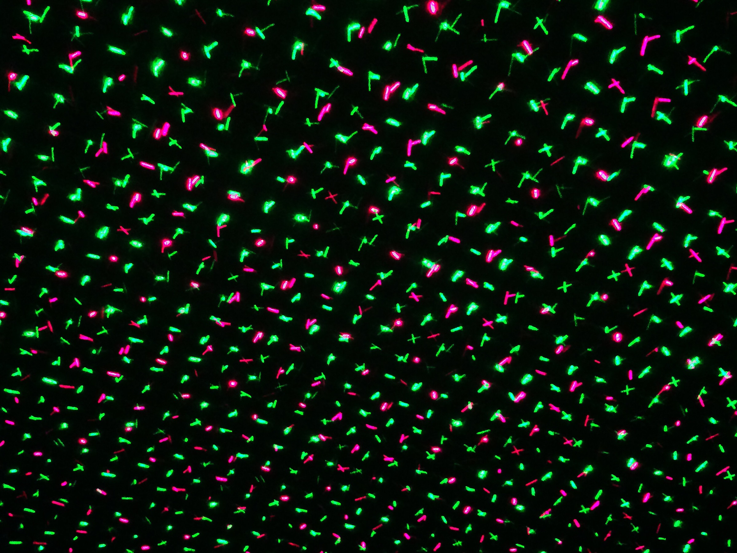 näve Laserstrahler »LED Projektor«, 1 flammig, Leuchtmittel LED-Modul | LED fest integriert-Laser, Projektionsfarbe rot und grün, diverse Programme, Funk-Fernbedienung