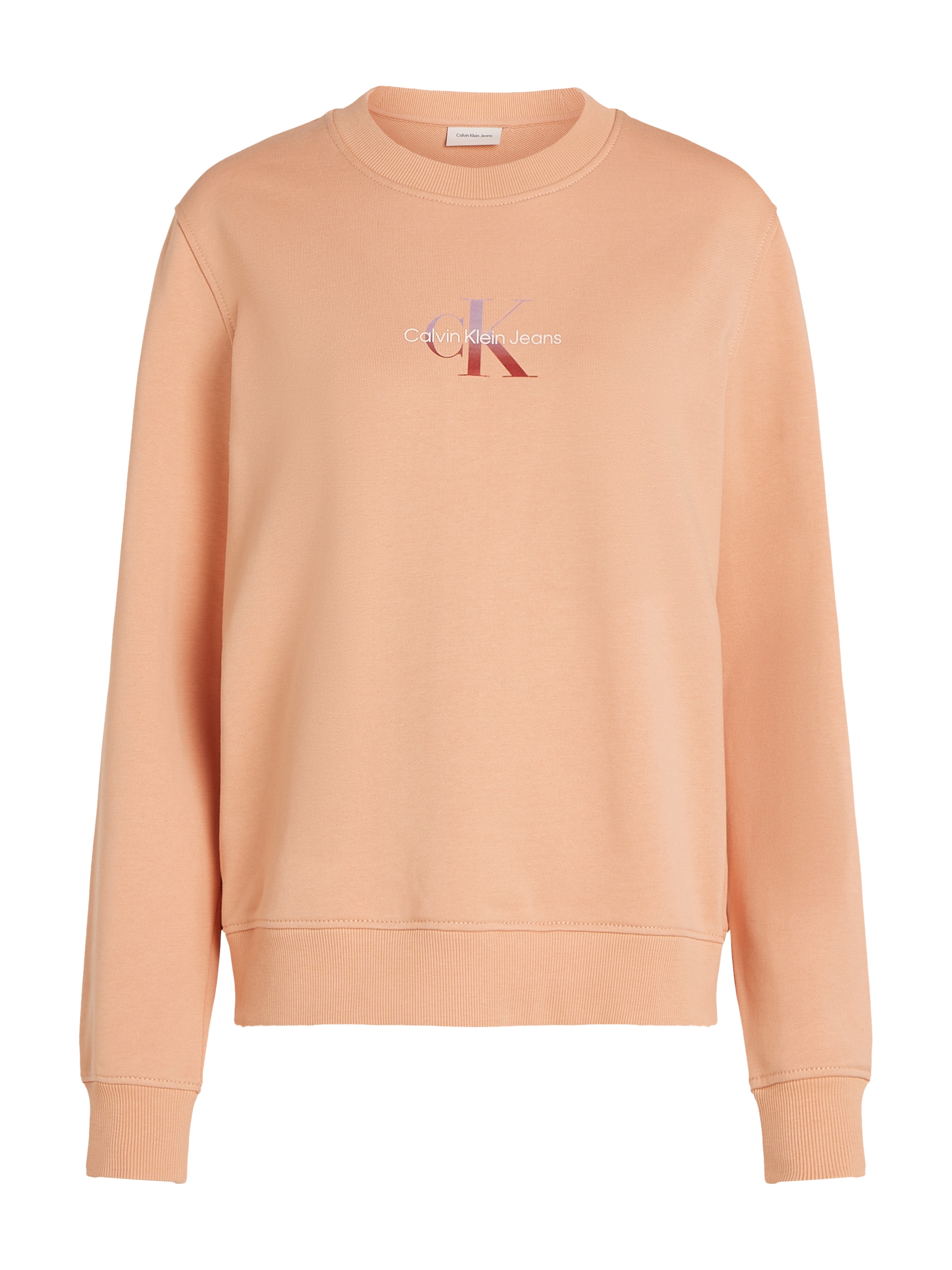 Calvin Klein Jeans Sweatshirt »GRADIENT MONOLOGO CREWNECK«, mit Logo