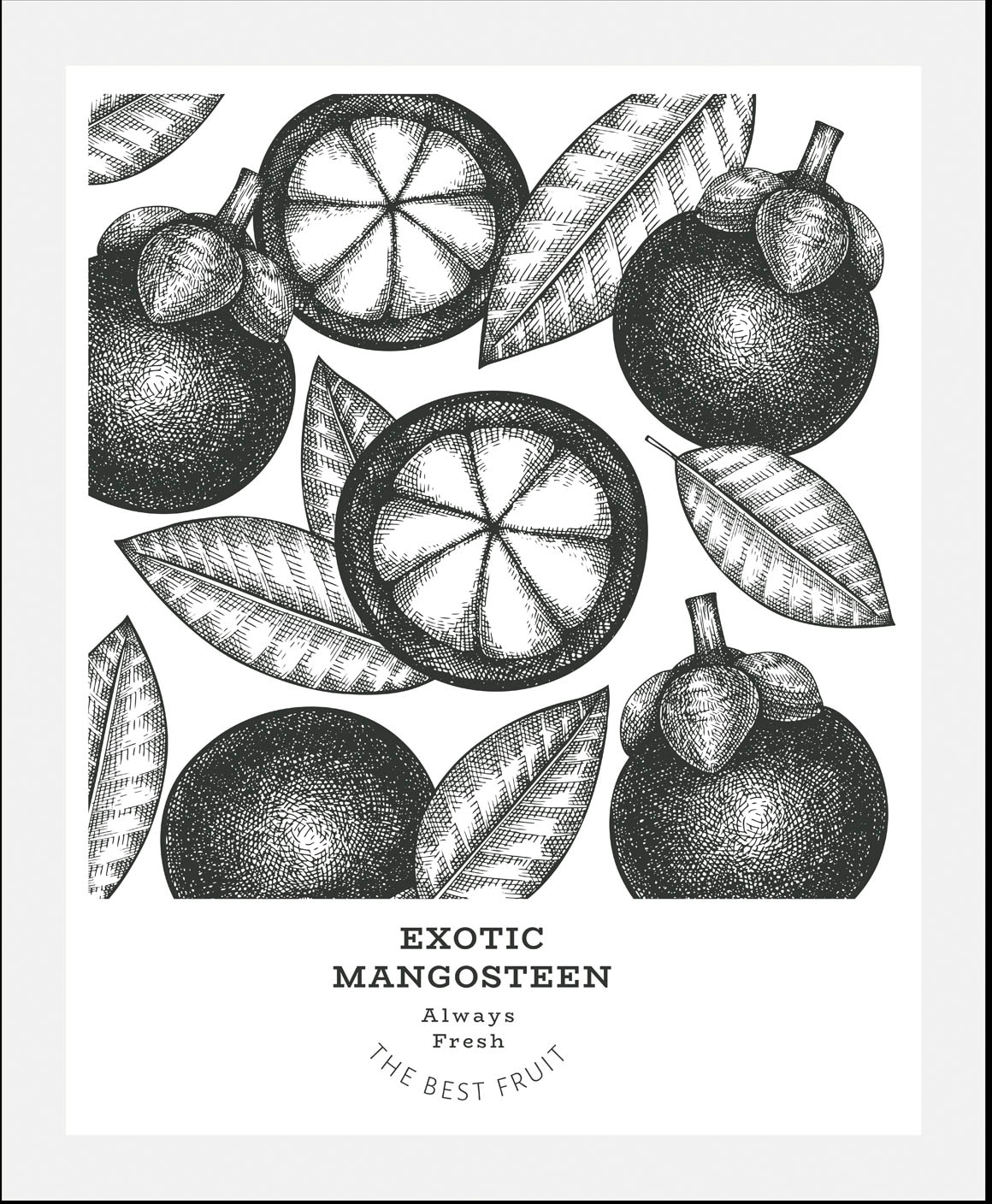 queence Bild "Exotic Mangosteen", (1 St.), gerahmt günstig online kaufen