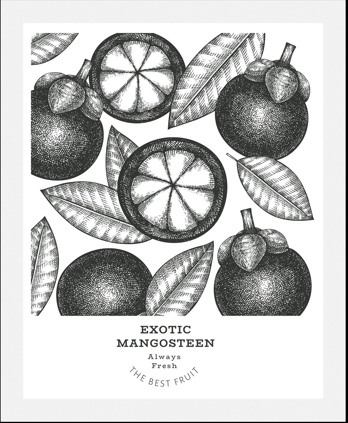 queence Bild »Exotic Mangosteen«, Obst-Obst Bilder-Essen-Lebensmittel-Kunst günstig online kaufen