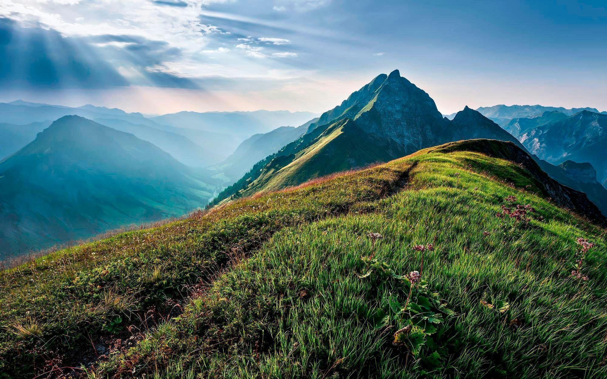 Sanders & Sanders Fototapete Landschaft Grün und Grau 400 x 250 cm 612388 günstig online kaufen