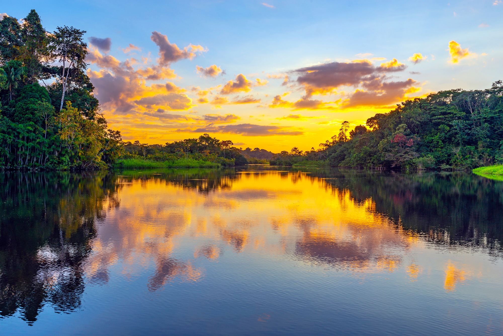 Papermoon Fototapete »REGENWALD-AMAZONAS WALD LAGUNE SONNENMUNTERGANG FLUSS günstig online kaufen