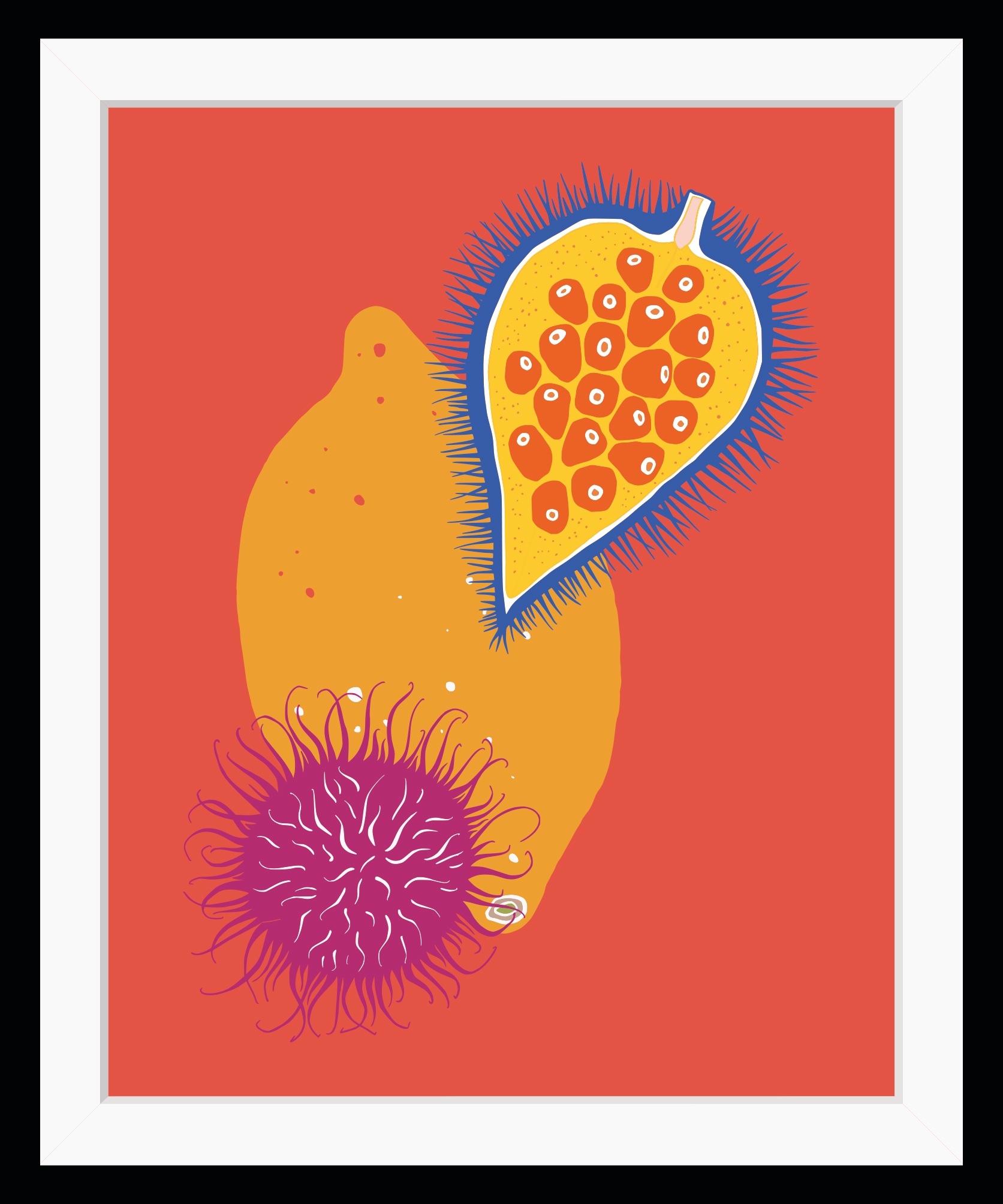 queence Bild »Daria«, Obst-Obst Bilder-Kunst-Lebensmittel, HD Premium Poste günstig online kaufen