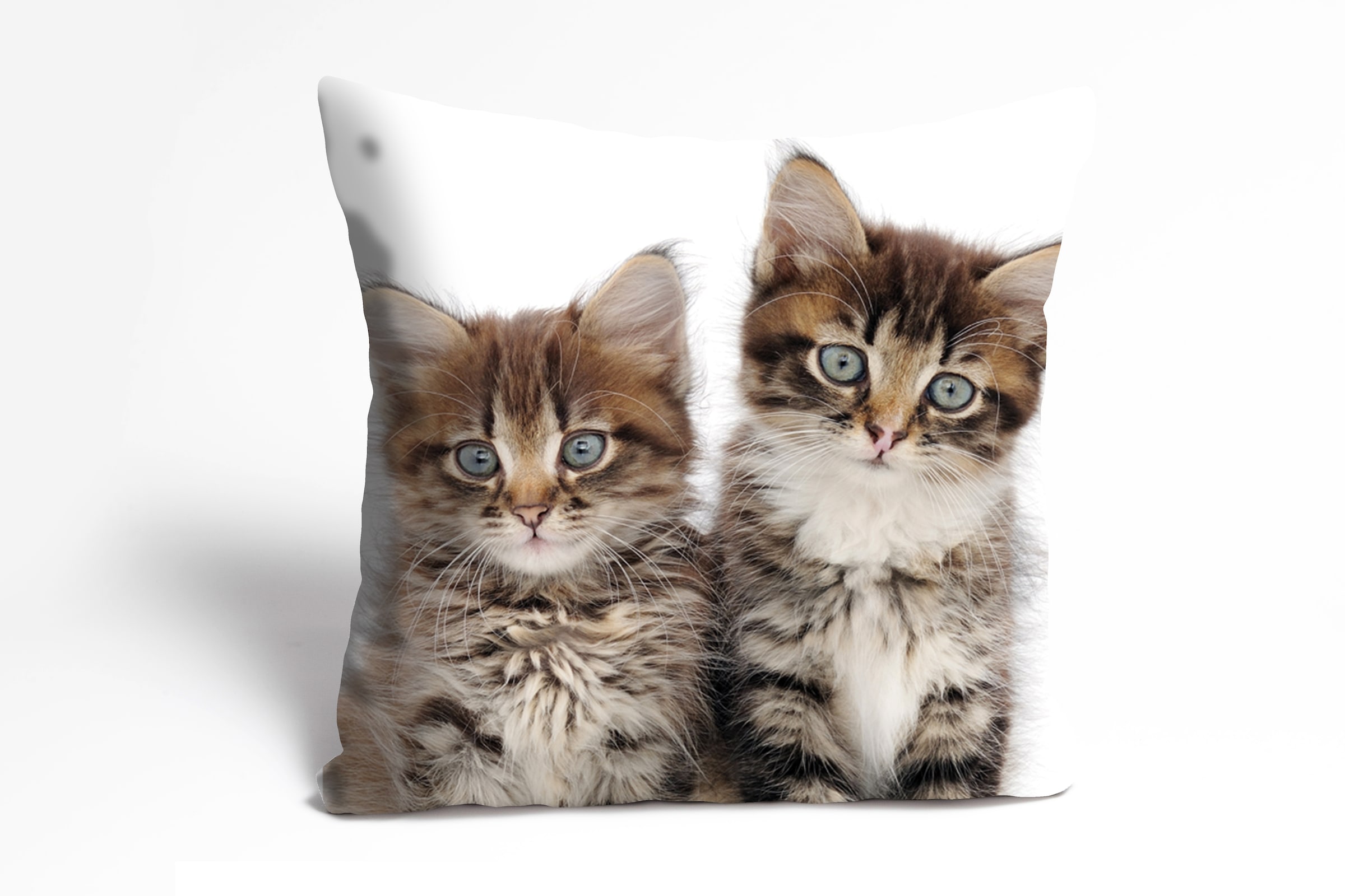 queence Dekokissen »Patrick«, Kissenhülle,Katzen,Tiermotiv,Niedlich,Verspie günstig online kaufen