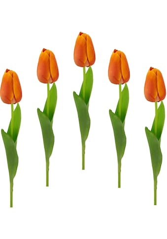 I.GE.A. Kunstblume »Real Touch Tulpen«, 5er Set künstliche Tulpenknospen,  Kunstblumen, Stielblume auf Raten kaufen