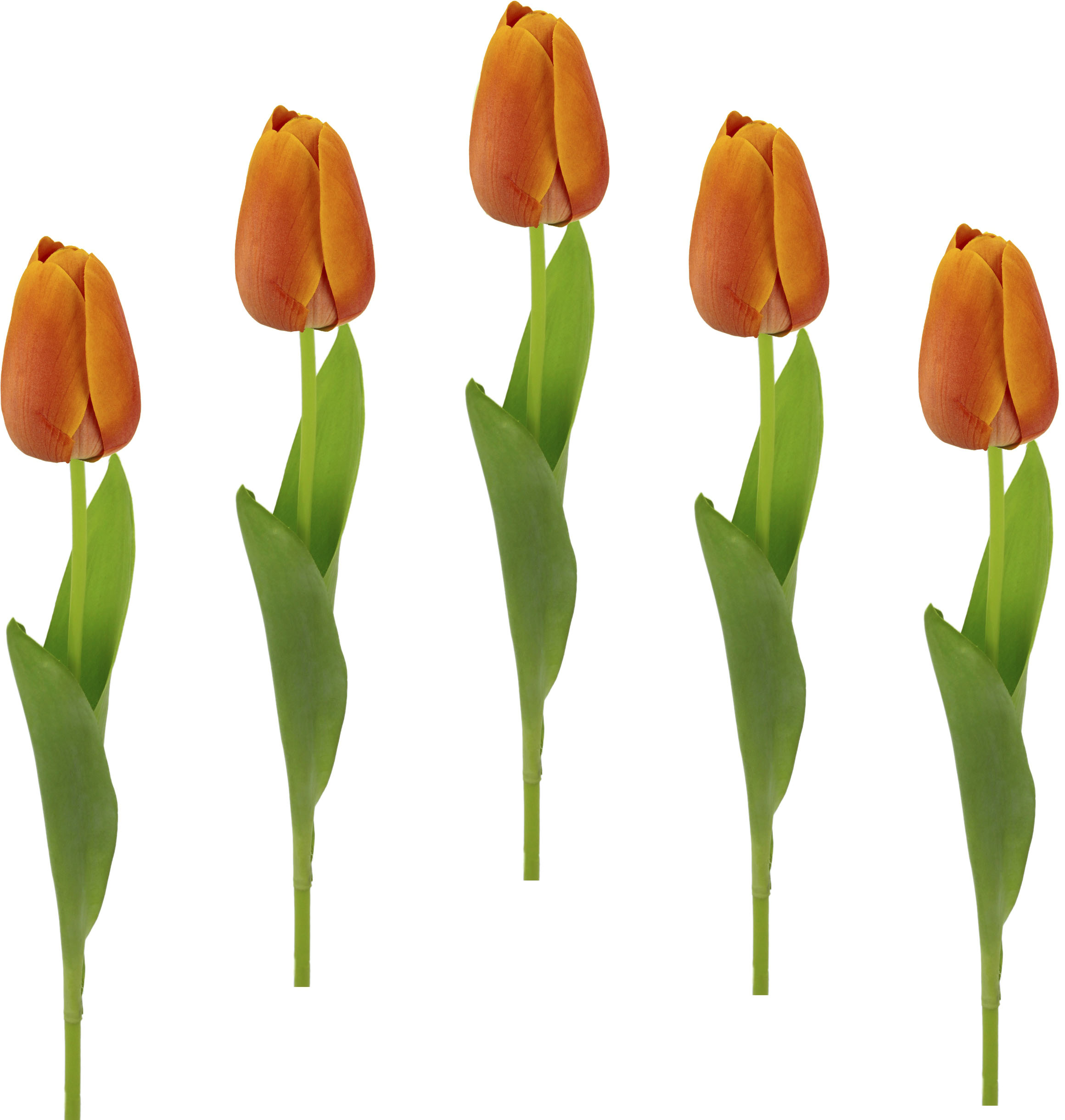 kaufen auf künstliche »Real Tulpenknospen, Raten Kunstblumen, I.GE.A. Kunstblume 5er Touch Stielblume Tulpen«, Set