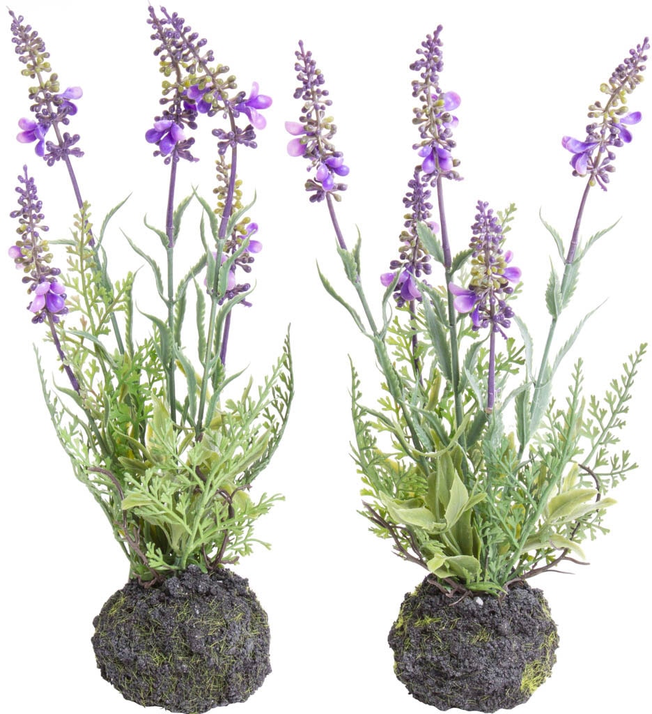 Botanic-Haus Künstliche Zimmerpflanze »Lavendel« günstig online kaufen