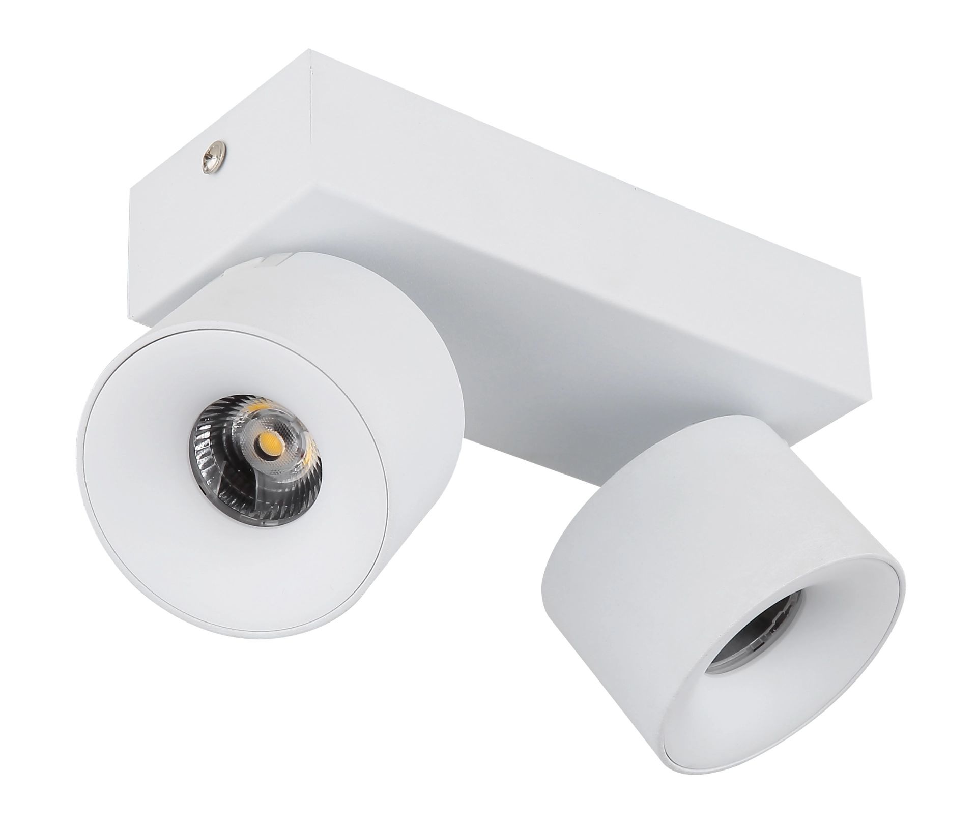 GLOBO LIGHTING LED Deckenstrahler »RAE«, 2 flammig, Leuchtmittel LED-Modul | LED fest integriert, mit schwenkbare und runde -zylindrischen LED-Strahlern