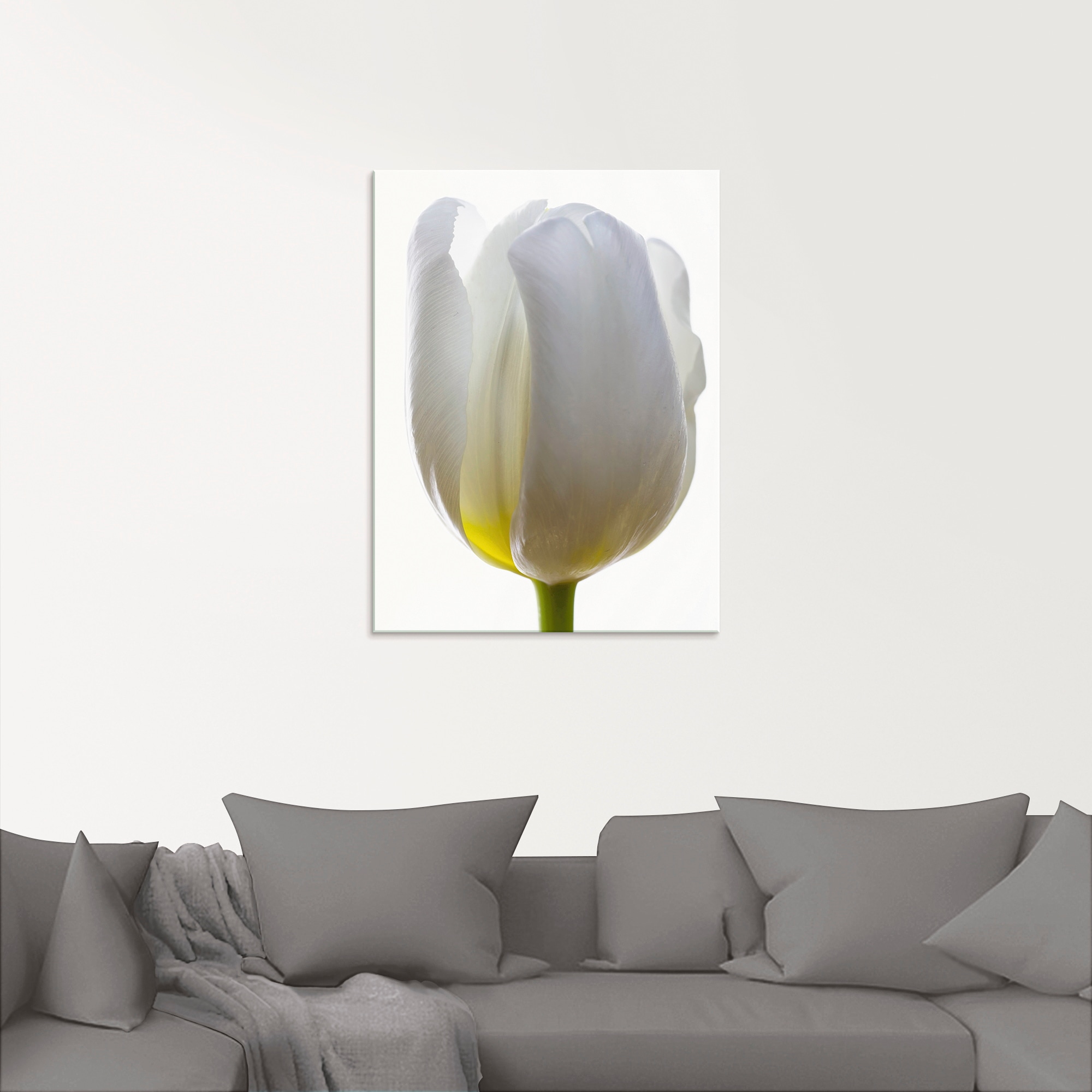 Artland Glasbild "Weiße Tulpe", Blumen, (1 St.), in verschiedenen Größen günstig online kaufen