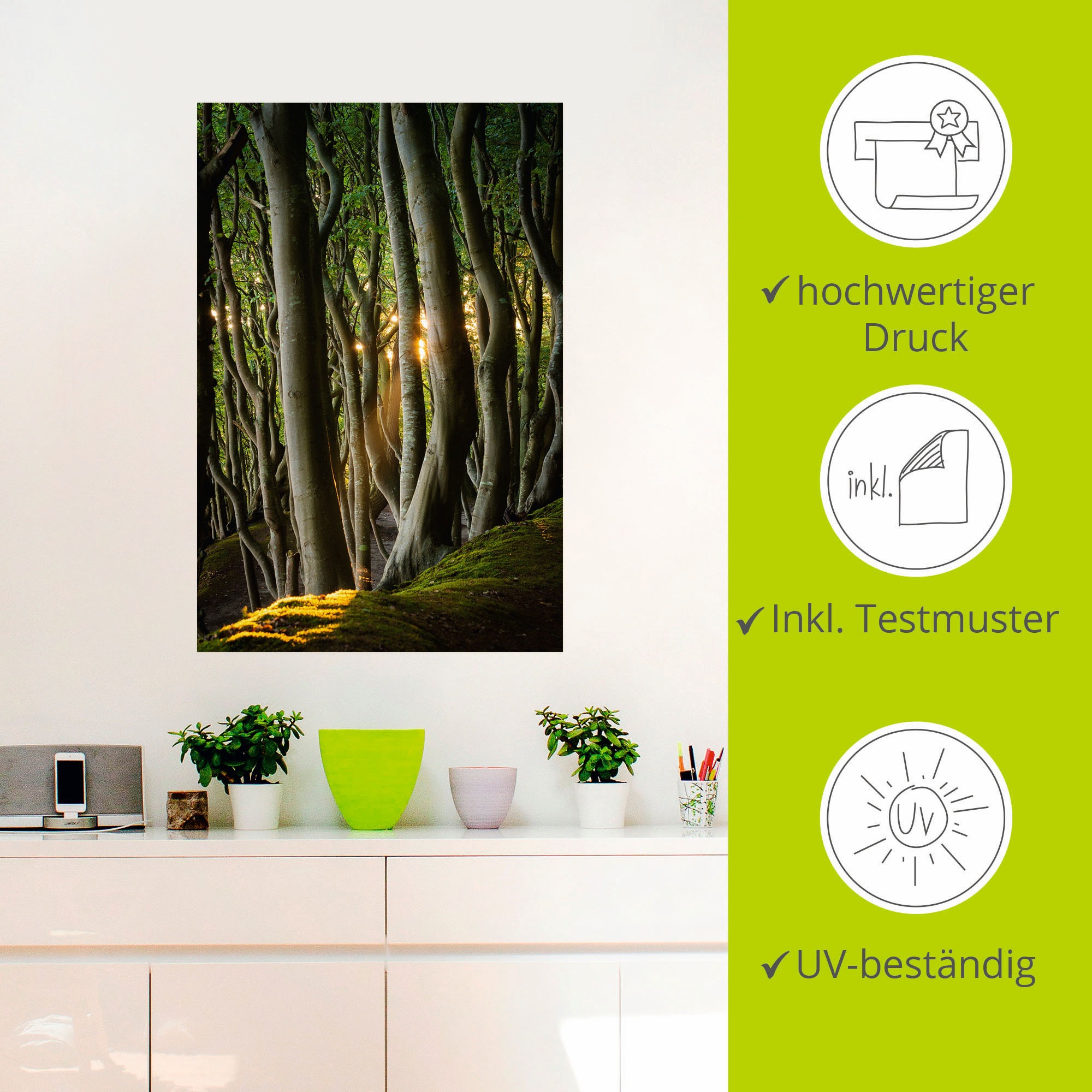 Artland Wandbild »Licht im Märchenwald«, Waldbilder, (1 St.), als Alubild, Leinwandbild, Wandaufkleber oder Poster in versch. Größen
