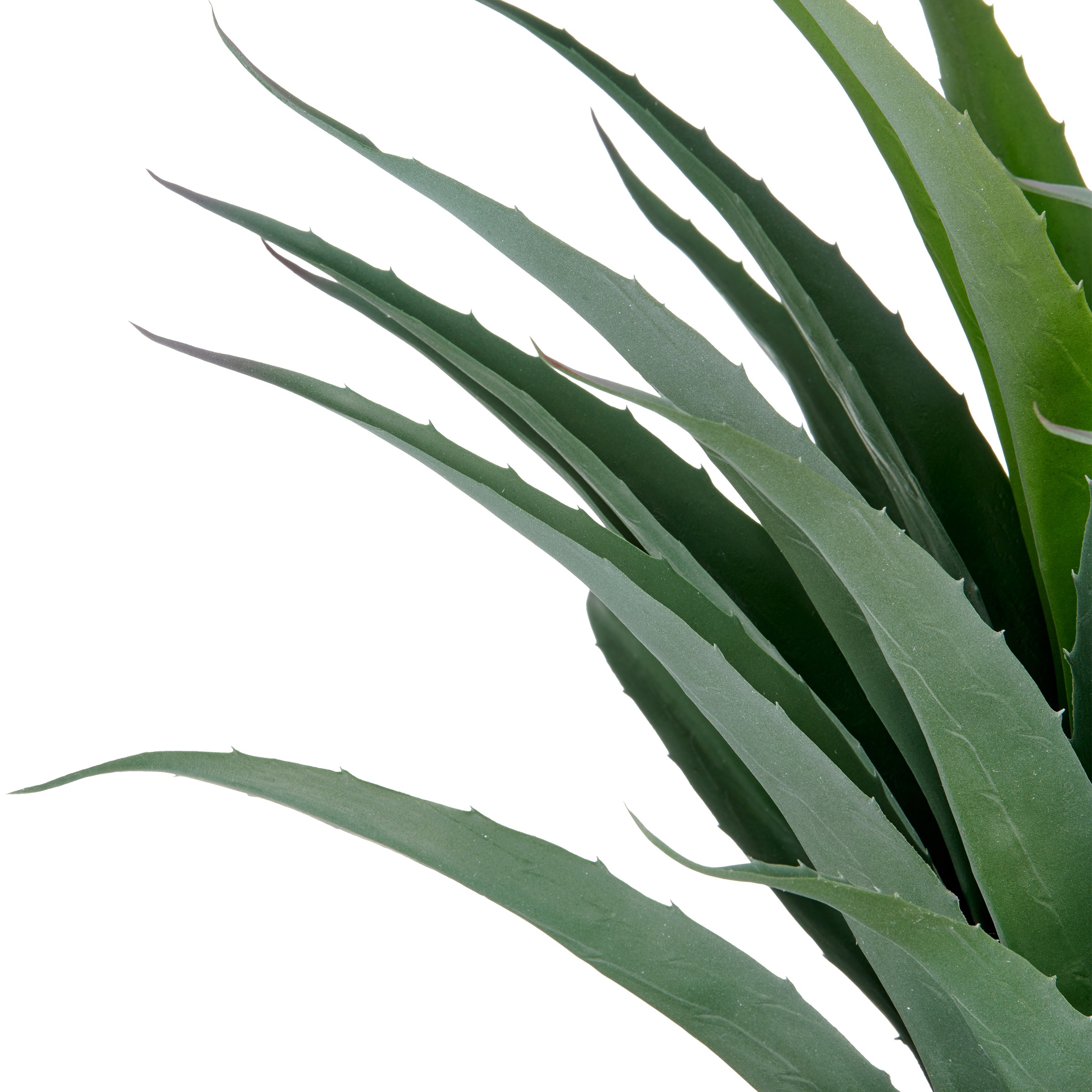 Creativ green Kunstpflanze »Agave« in UV-beständiger Ausführung günstig online kaufen