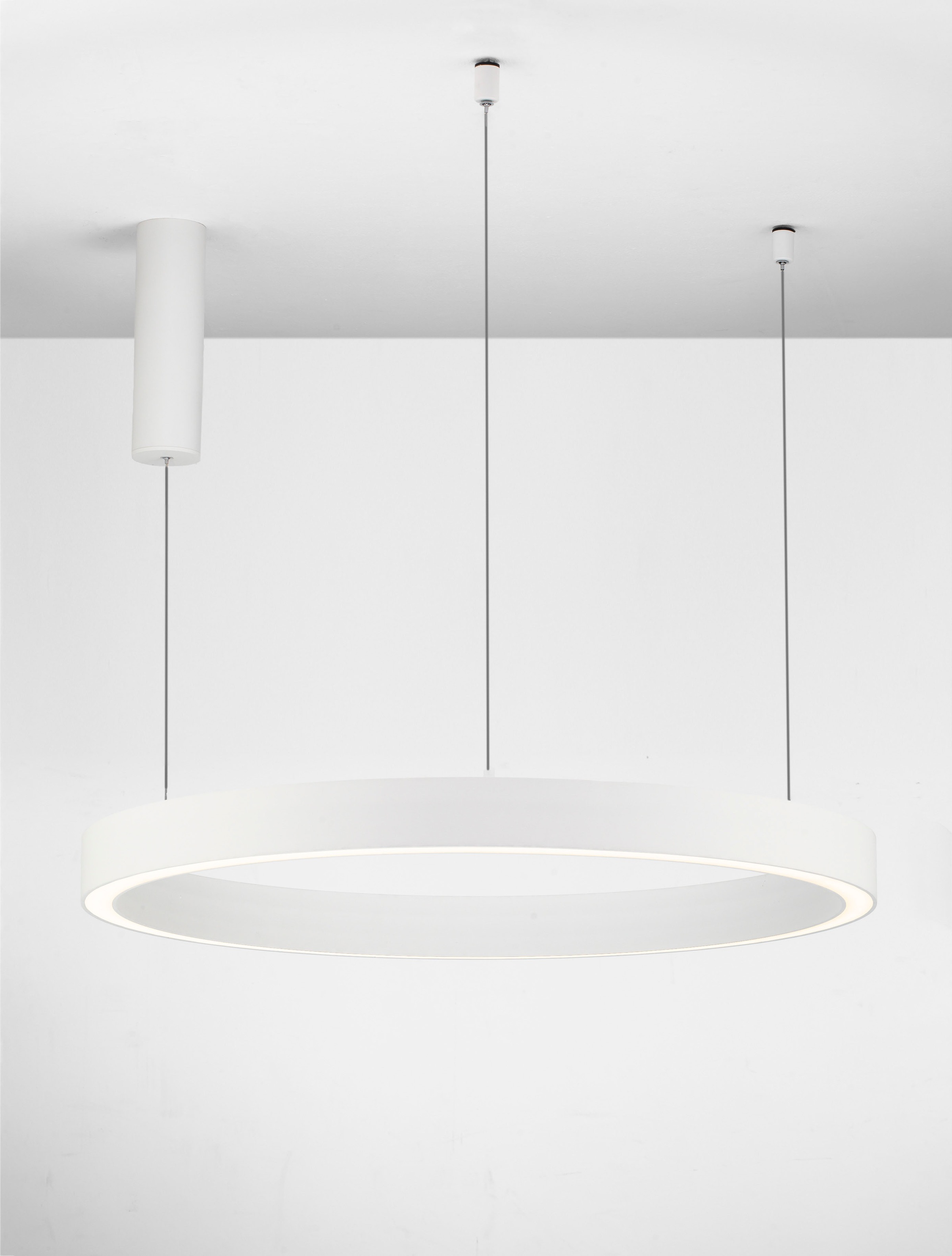Nova Luce LED-Hängeleuchte »STING«, 1 flammig, Leuchtmittel LED-Modul   LED günstig online kaufen