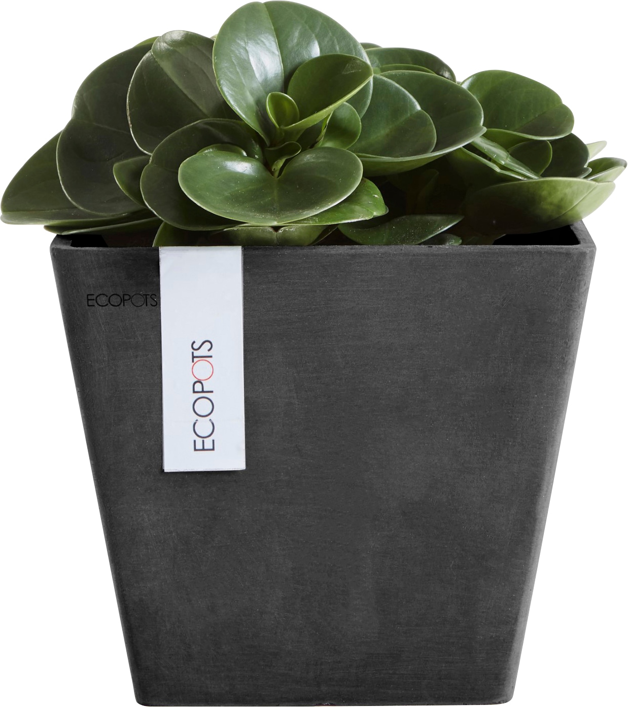 ECOPOTS Blumentopf »ROTTERDAM Dark Grey«, BxTxH: 20x20x17,5 cm