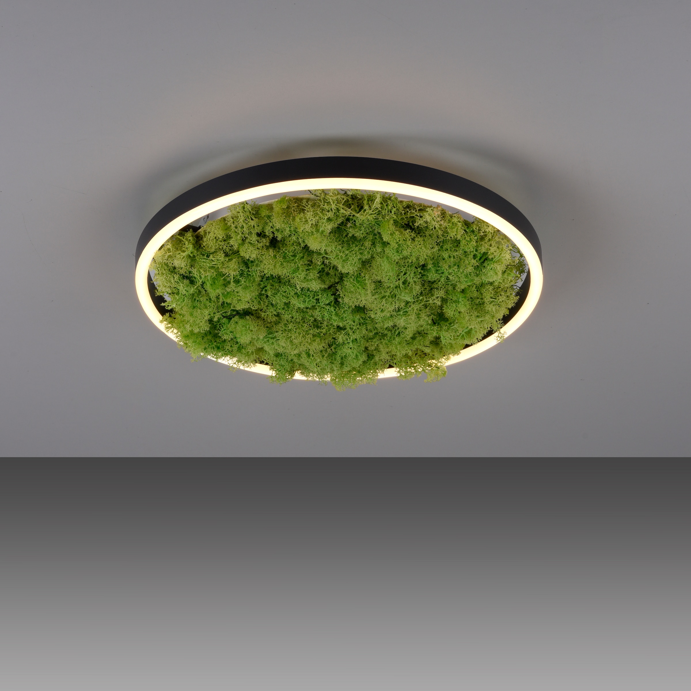 JUST LIGHT Deckenleuchte »GREEN RITU«, 1 flammig, Leuchtmittel LED-Board | LED fest integriert