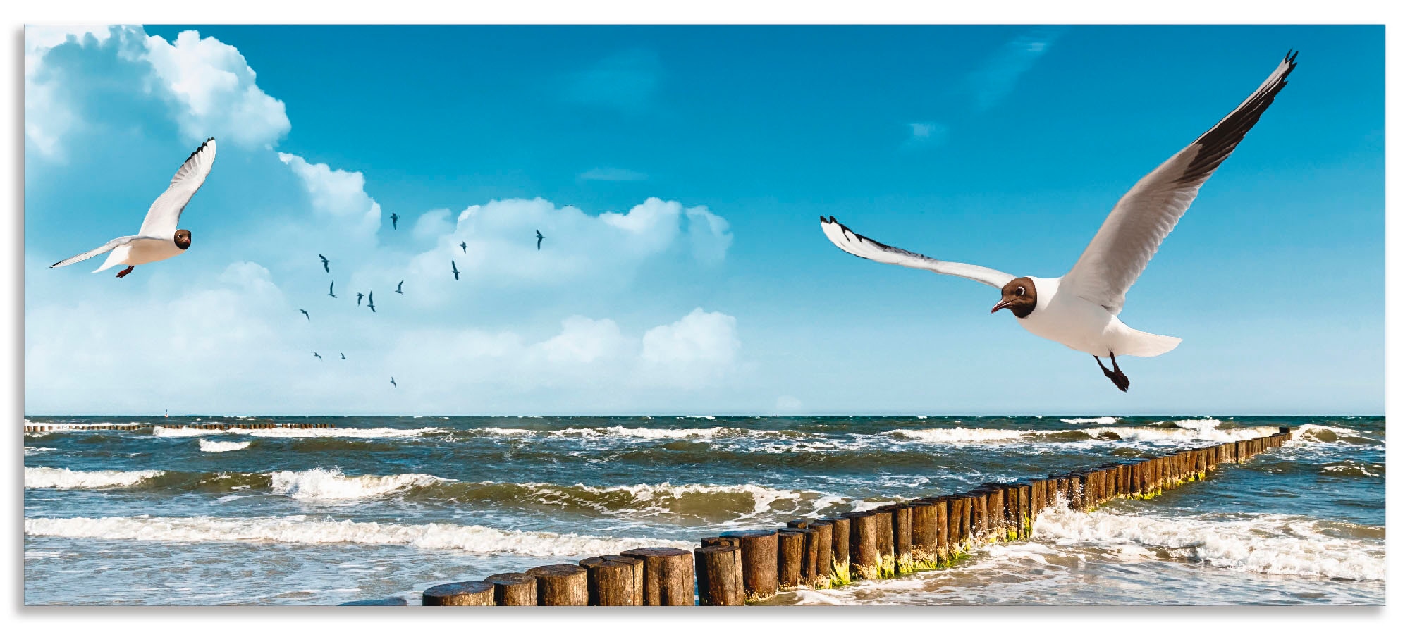 Artland Küchenrückwand "Ostsee", (1 tlg.), Alu Spritzschutz mit Klebeband, günstig online kaufen