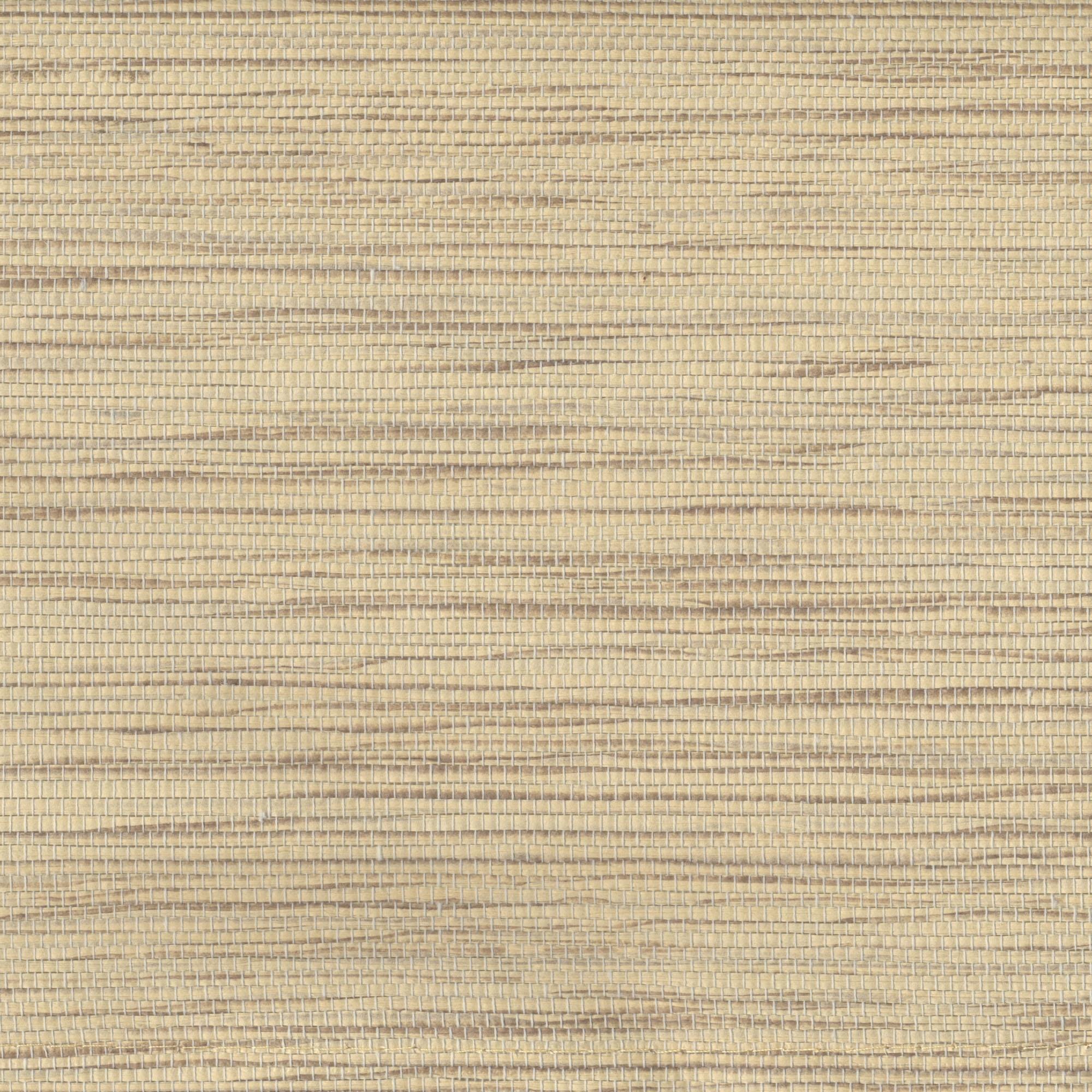 Liedeco Schiebegardine Klettband 1 Stk. tlg. HxB: 245x60, ohne Paneelwagen günstig online kaufen