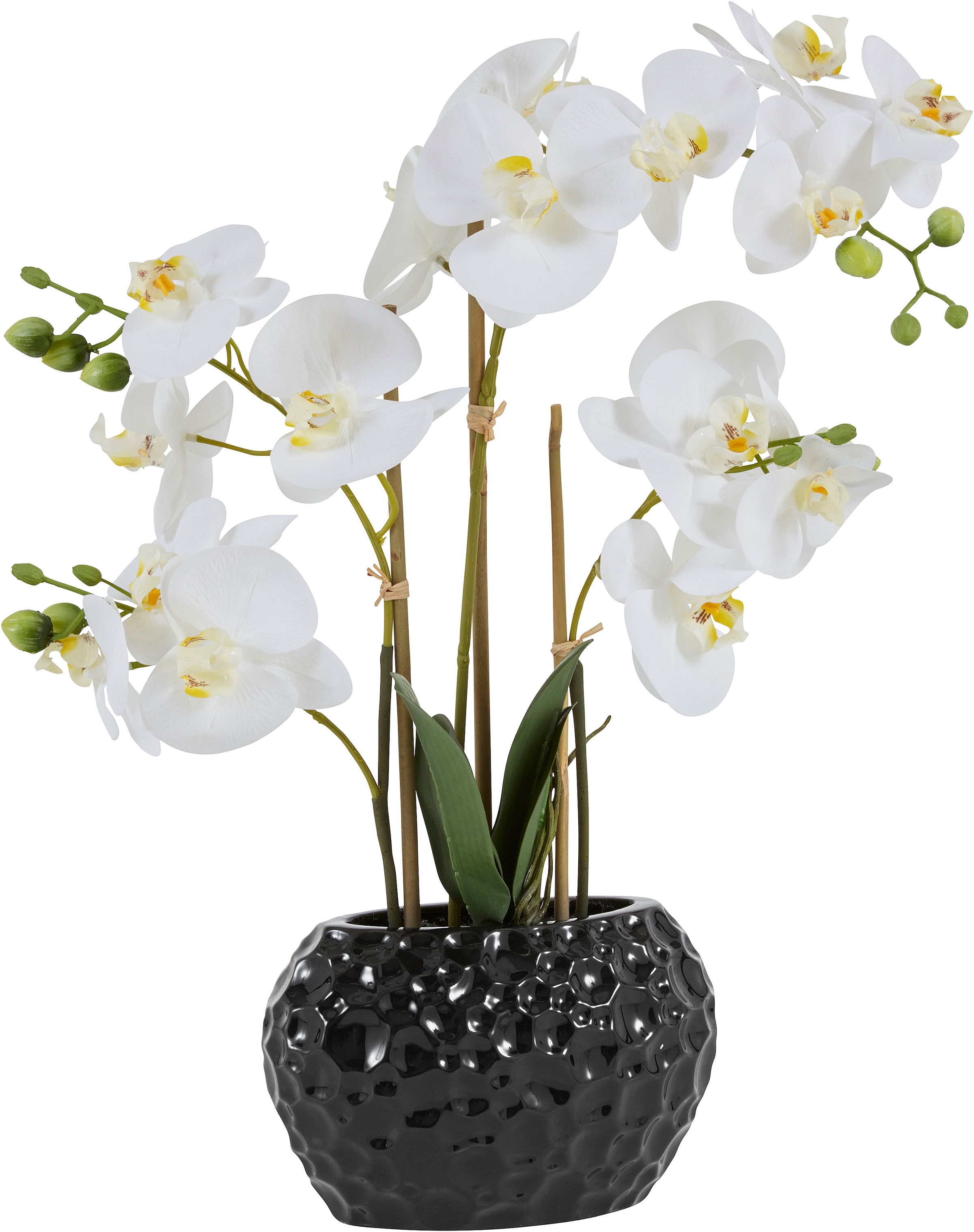 Leonique Kunstpflanze Kunstorchidee, auf im »Orchidee«, bestellen Topf Rechnung
