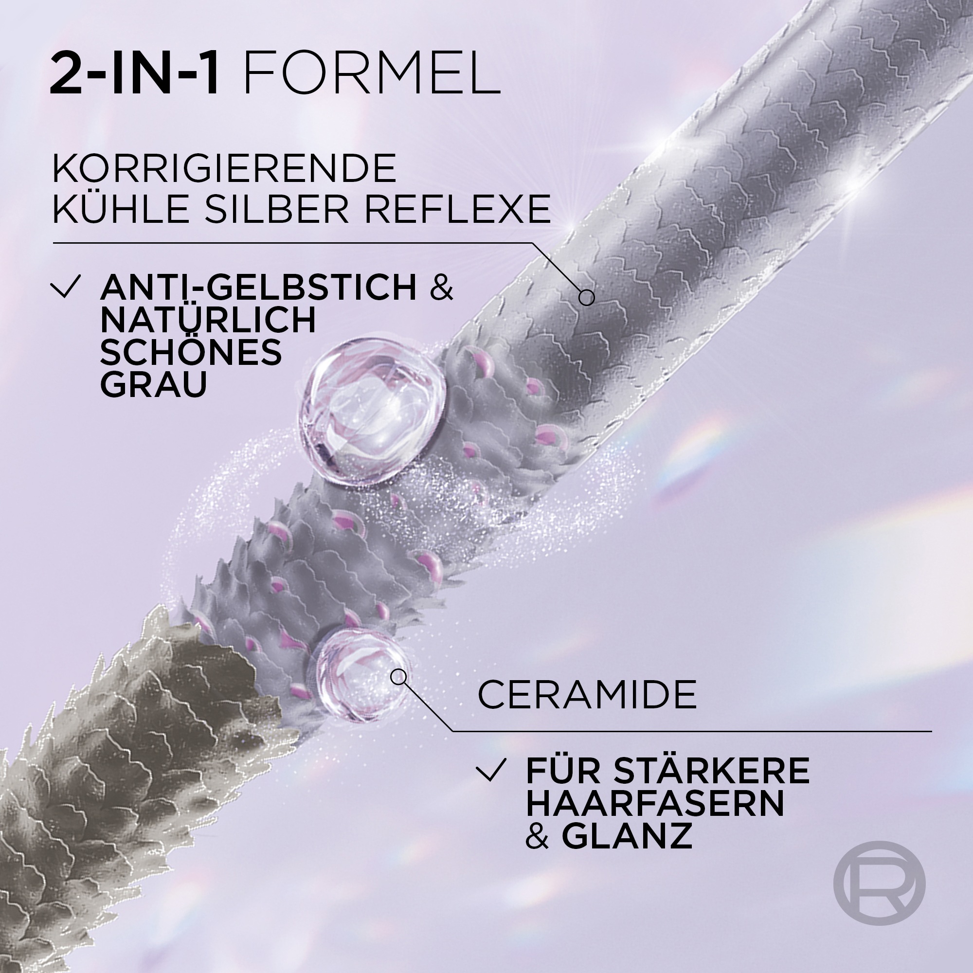 L'ORÉAL PARIS Coloration »L'Oréal Paris Cool Silver Pflegetönung«