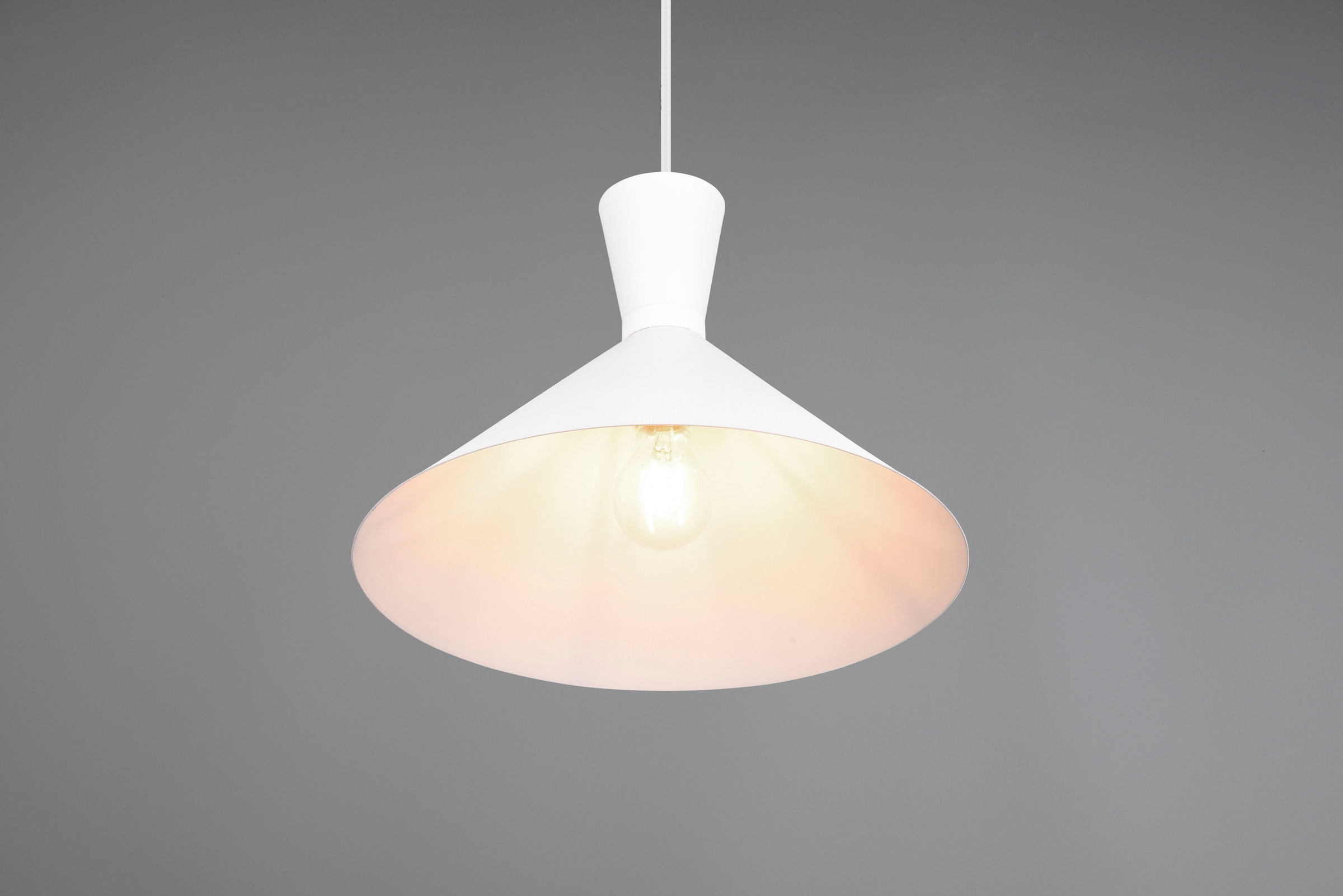 REALITY Leuchten Pendelleuchte »Enzo«, 1 flammig, Leuchtmittel E27 | ohne Leuchtmittel, Hängelampe 1-flammig, E27 max 28W (exkl.), höhenverstellbar, Ø 35cm