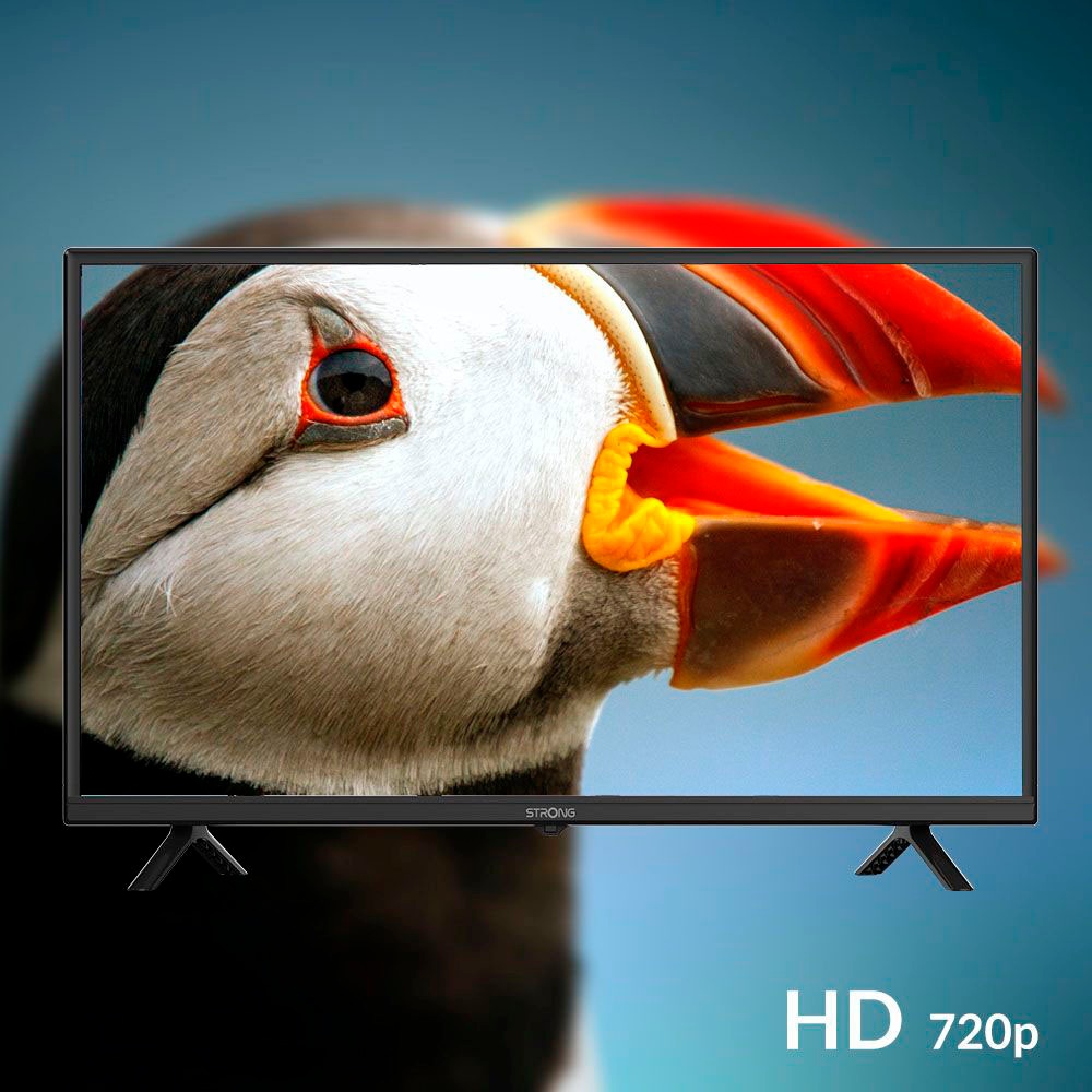 Strong LCD-LED Fernseher »SRT 32HF2003«, HD, DVB-T2/C/S2