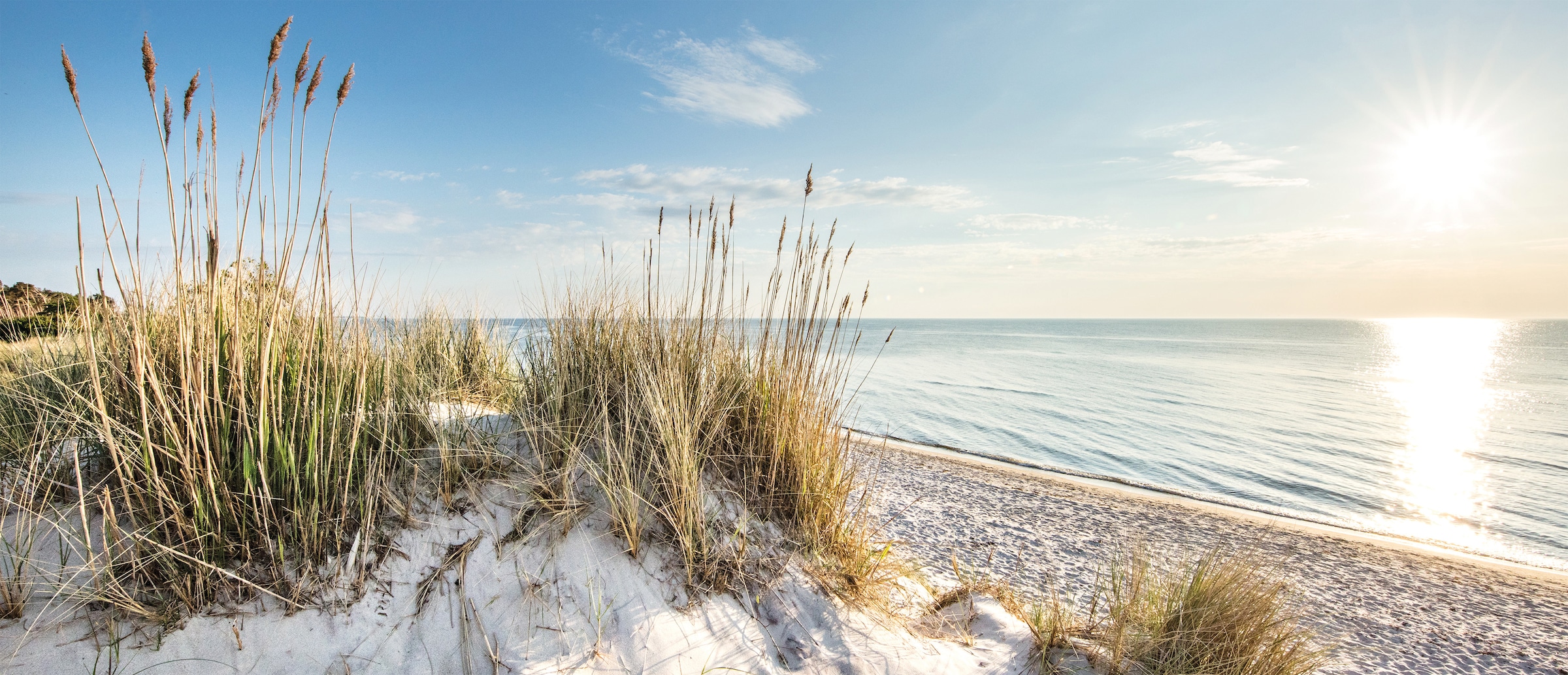 Bönninghoff Leinwandbild, Düne, (1 St.), BxH: 140x60 cm günstig online kaufen