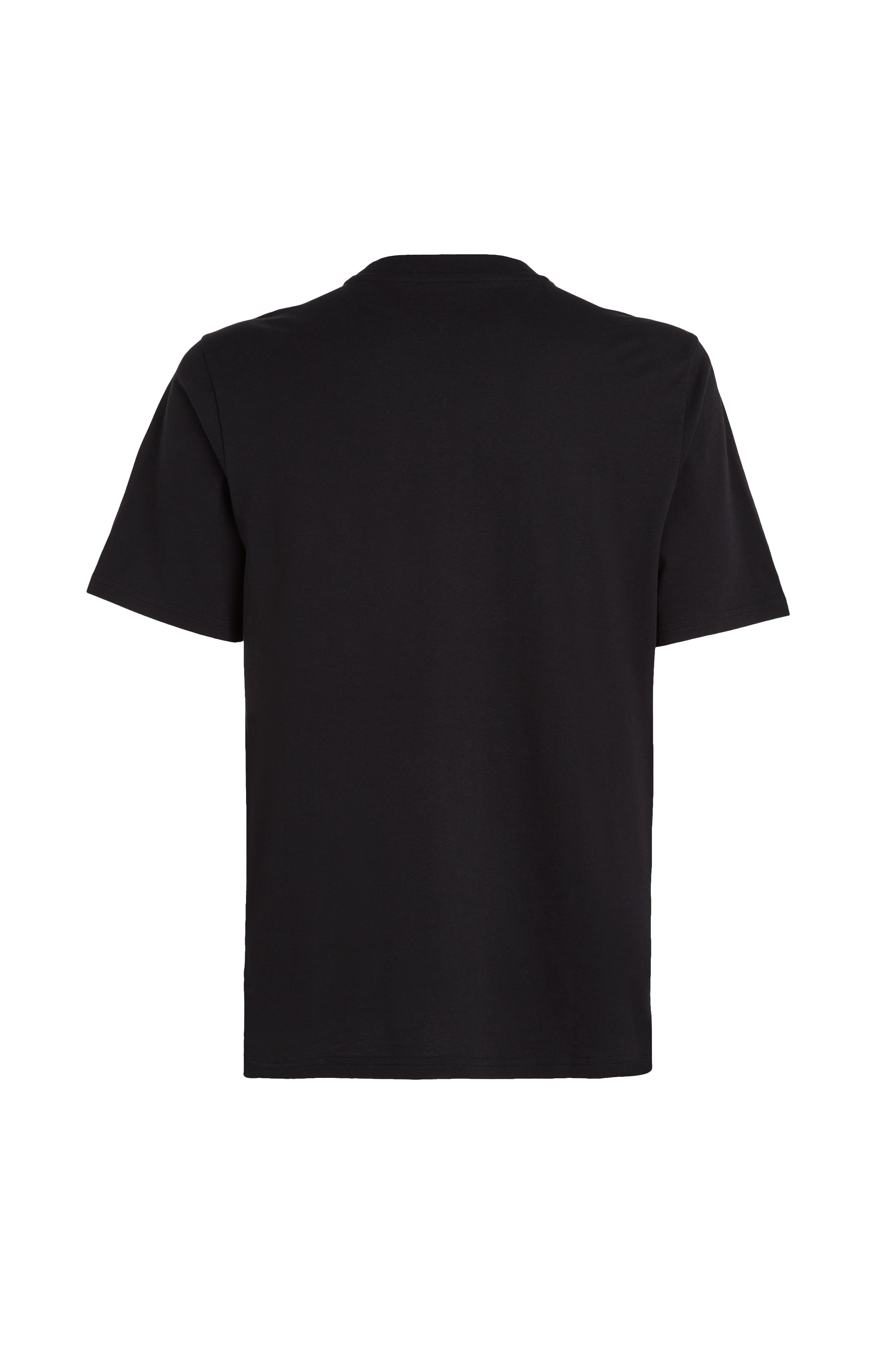 O'Neill T-Shirt »MIX & MATCH PALM T-SHIRT«, mit Rundhalsausschnitt
