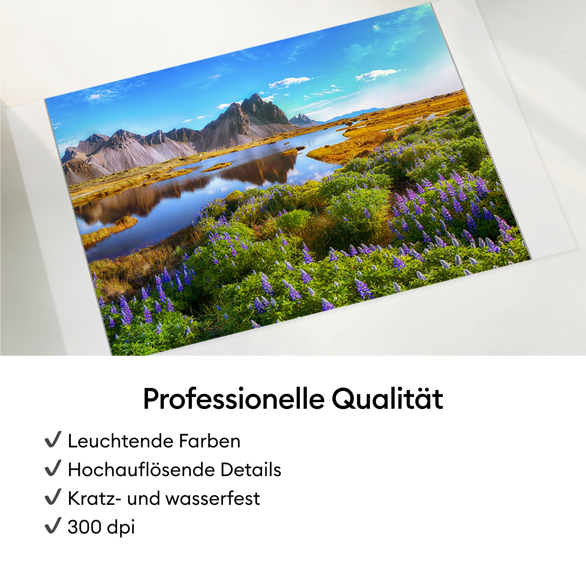 Cricut Fotodrucker »StickerPix Print™ Essential Bundle«