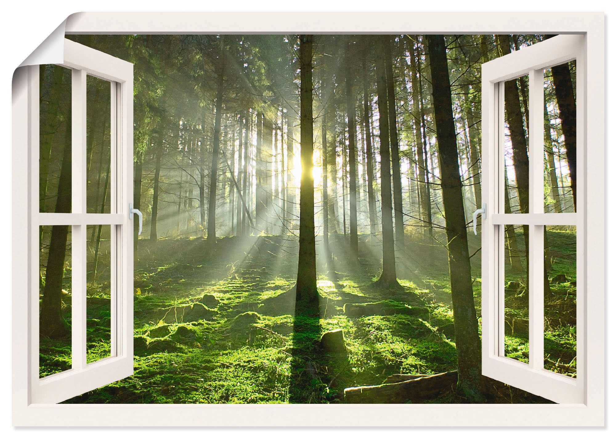 Artland Wandbild »Fensterblick - Wald im Gegenlicht«, Fensterblick, (1 St.), als Poster, Wandaufkleber in verschied. Größen