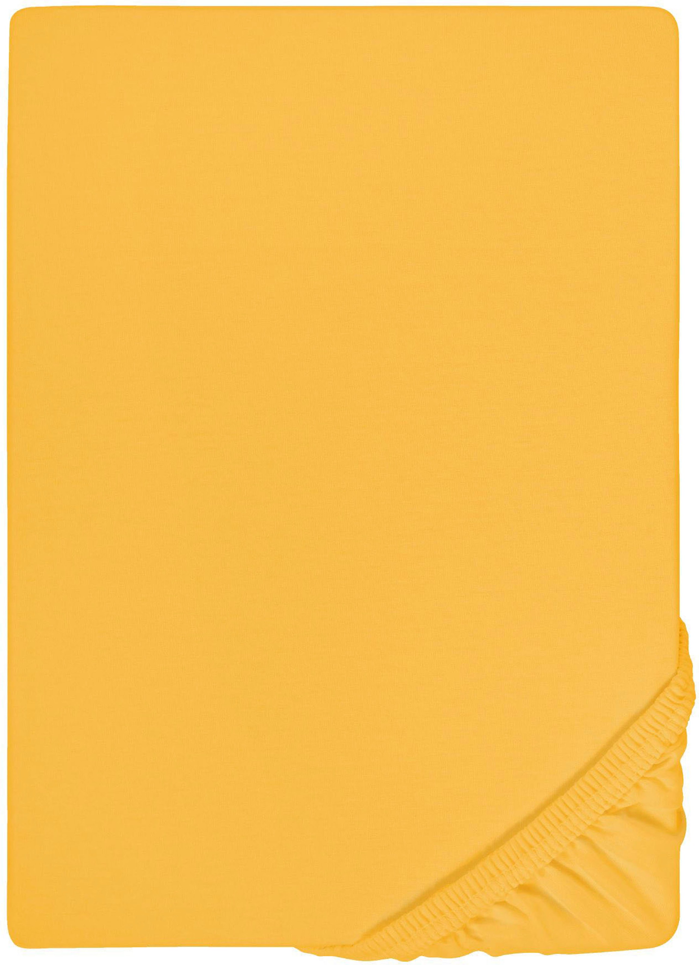 Biberna Spannbettlaken »Marc in Gr. 90x200, 140x200 oder 180x200 cm«, (1 St.), aus Baumwolle, für Matratzen bis 22 cm Höhe, Bettlaken, Spannbetttuch