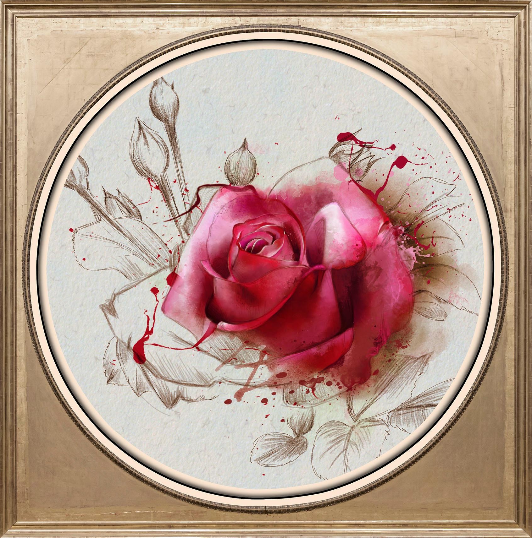 queence Acrylglasbild »Rosa Rose«, Blumen-Blumenbilder-Kunst-Pflanzen-Pflan günstig online kaufen