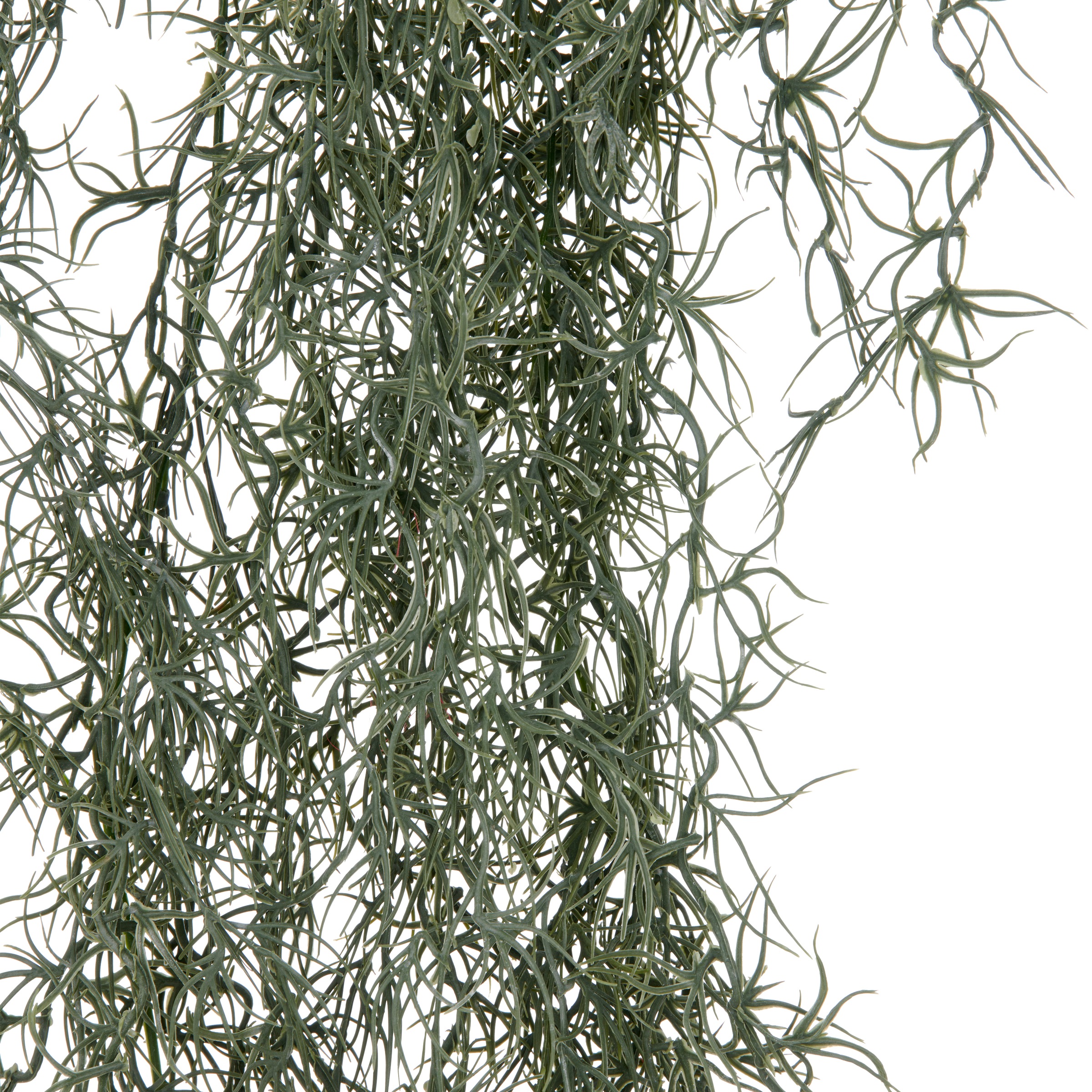 Creativ green Kunstranke »Tillandsia«, mit filigranen Ranken