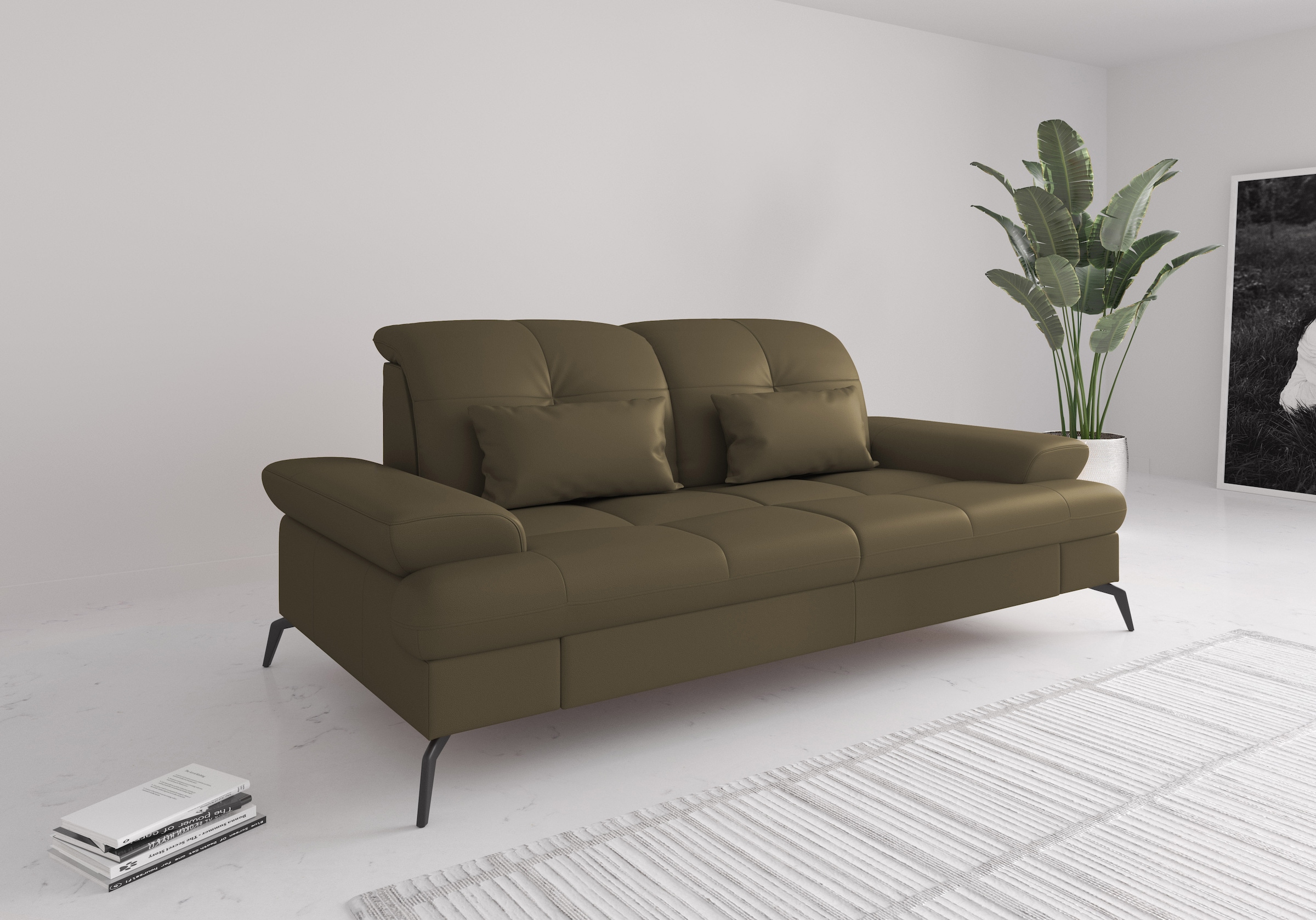 sit&more 2,5-Sitzer »Amica«, inkl Sitztiefenverstellung und Armteilverstell günstig online kaufen