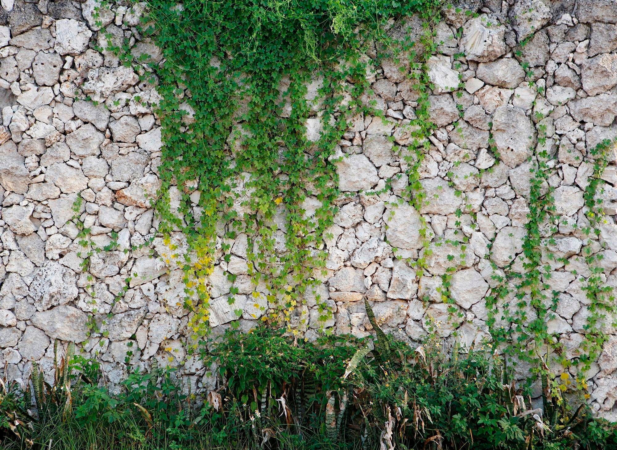 Fototapete LIVING WALLS "Natursteinmauer Vlies", bunt, B:3,5m L:2,55m