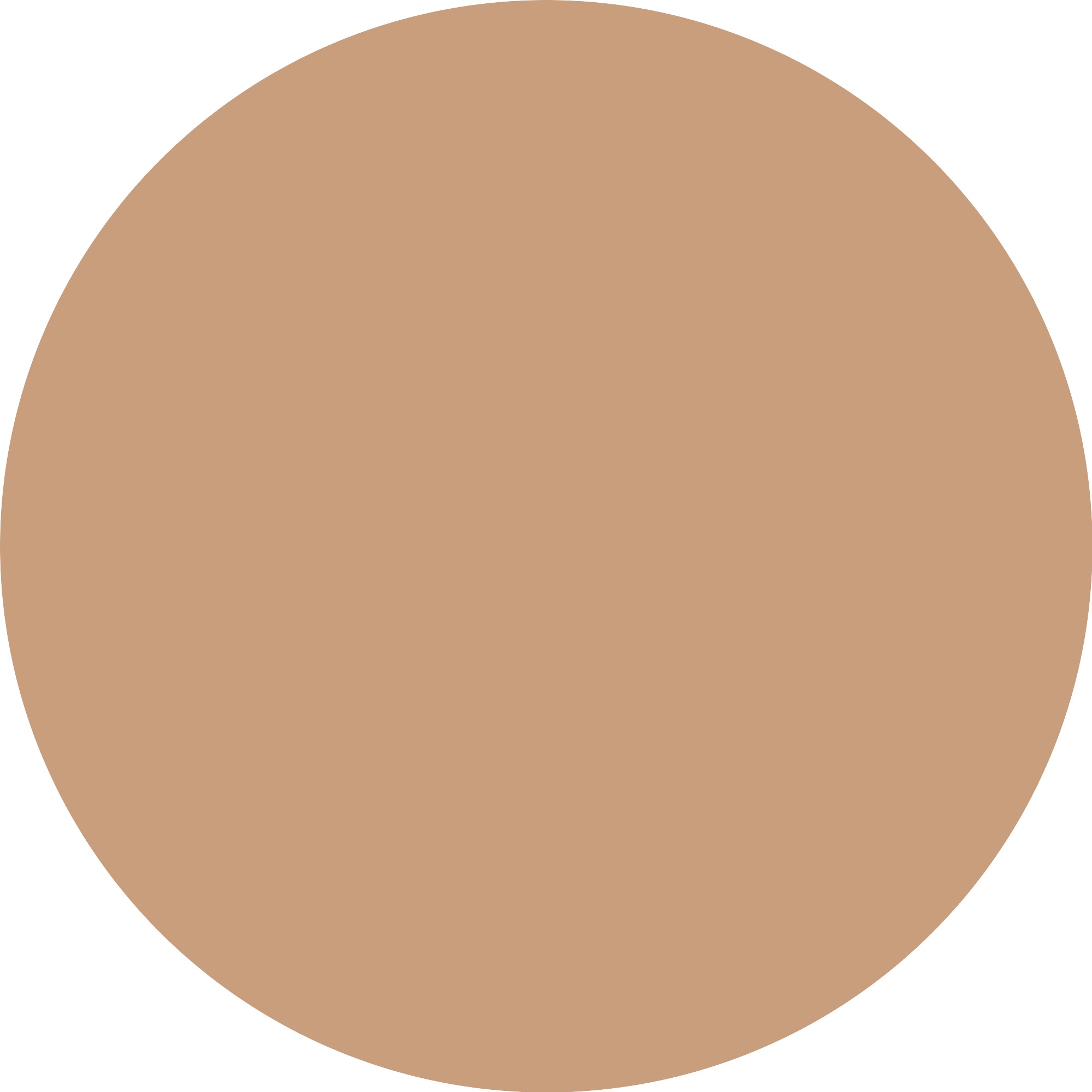 Catrice Foundation »Invisible Cover Cushion Foundation«