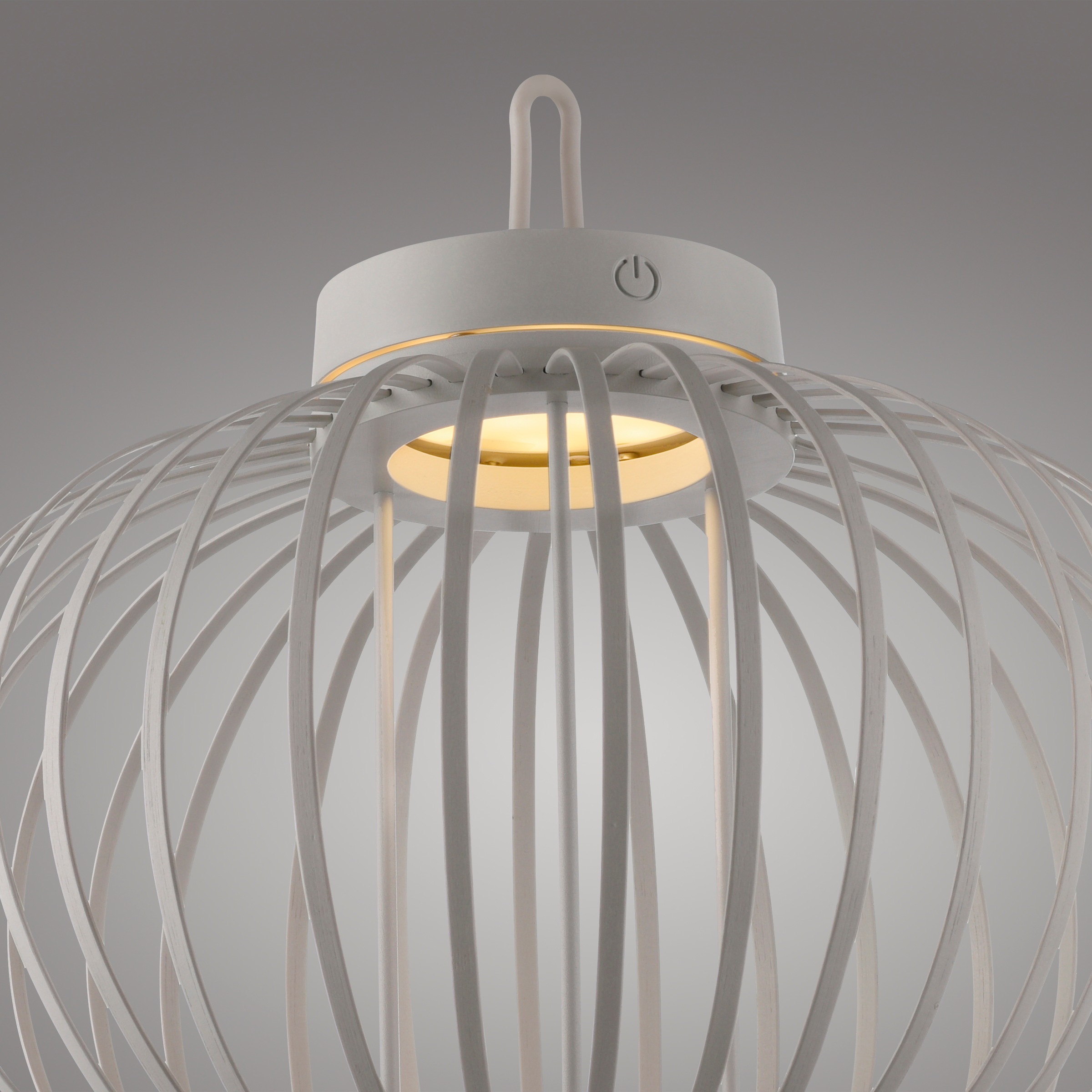 JUST LIGHT Pendelleuchte »AKUBA«, 1 flammig, Leuchtmittel LED-Modul | LED fest integriert, Akkuleuchte