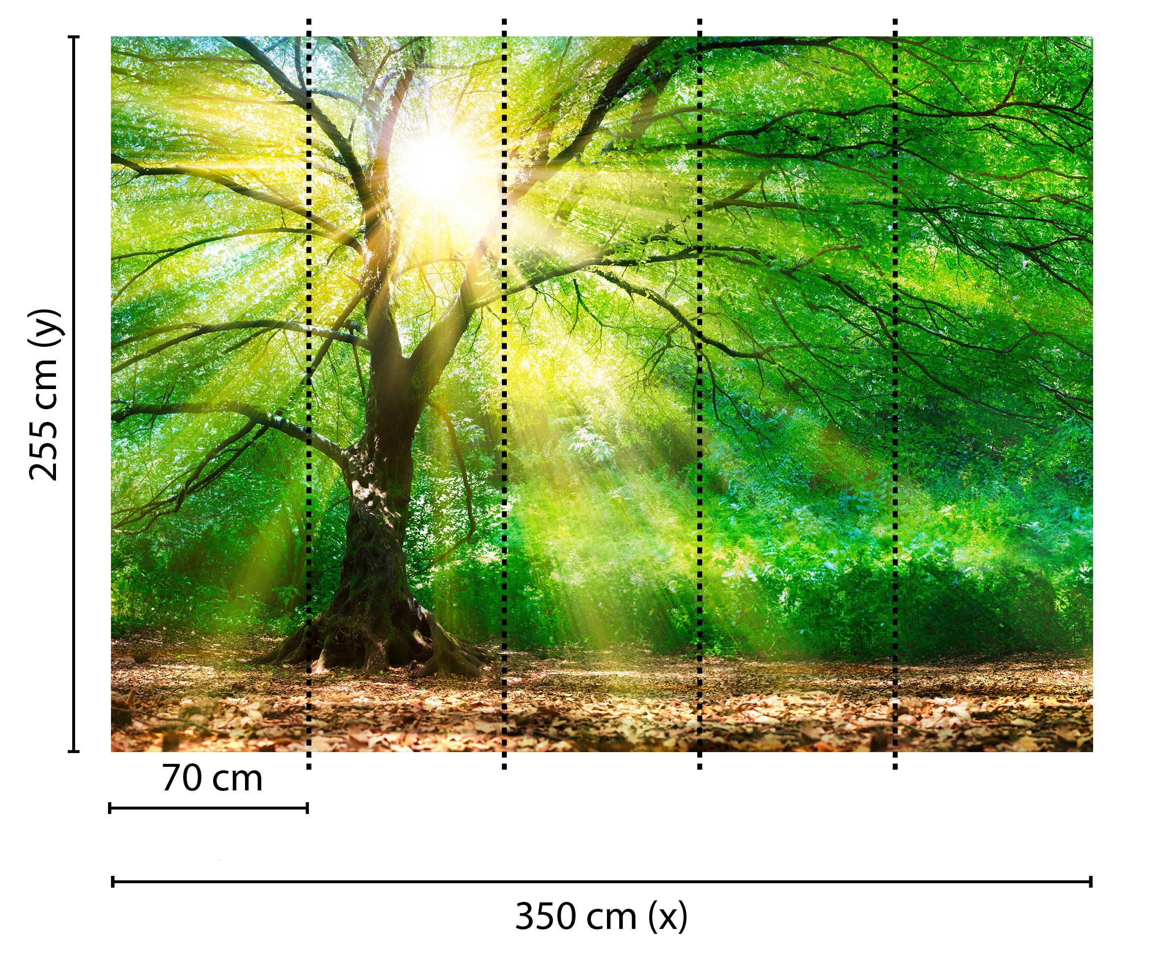 living walls Fototapete »Designwalls Forest Light«, Vlies, Wand, Schräge, Decke