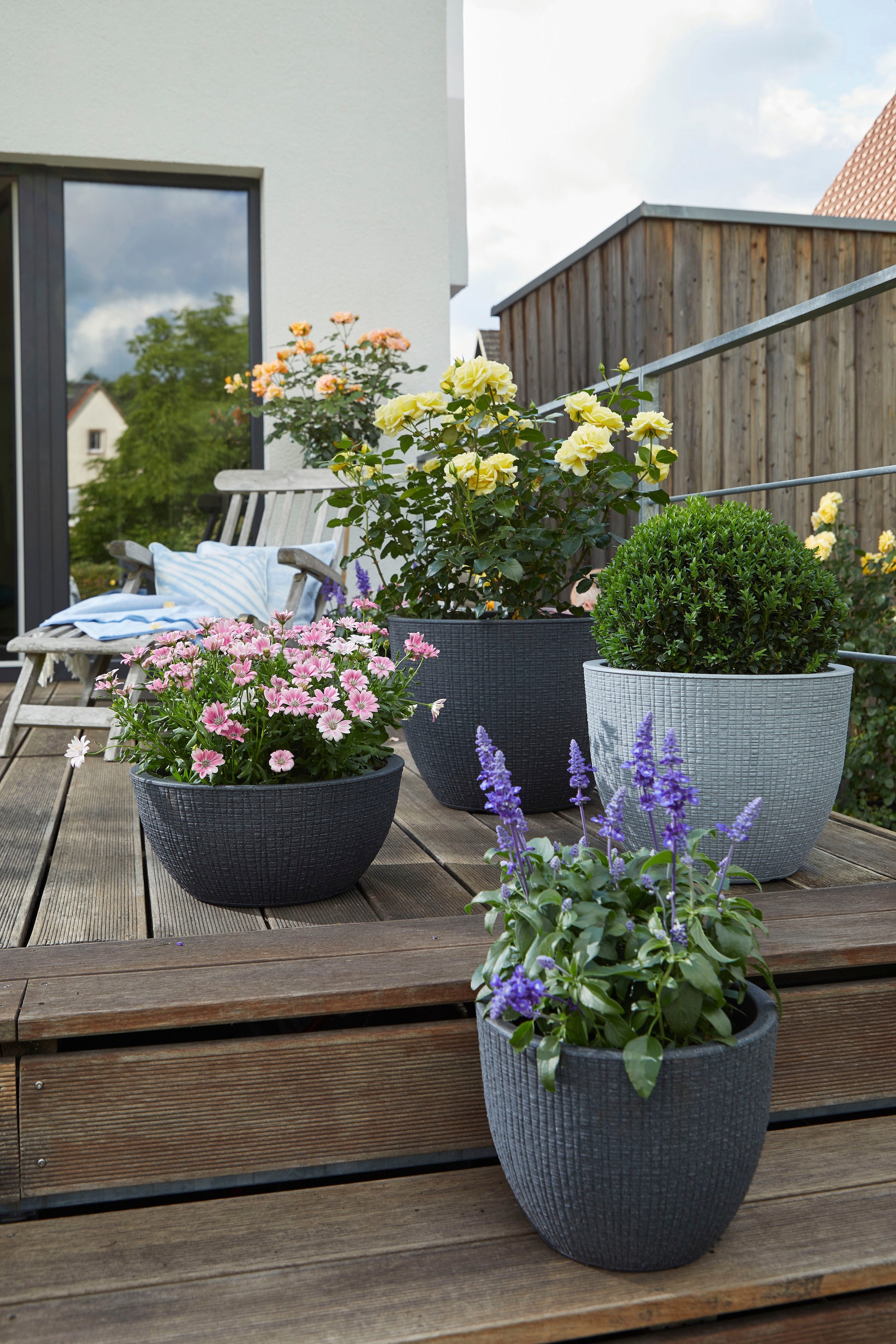 Scheurich Blumentopf »30/295 BARCEO«