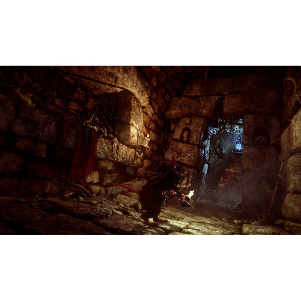 PlayStation 4 Spielesoftware »Ghost of a Tale«, PlayStation 4