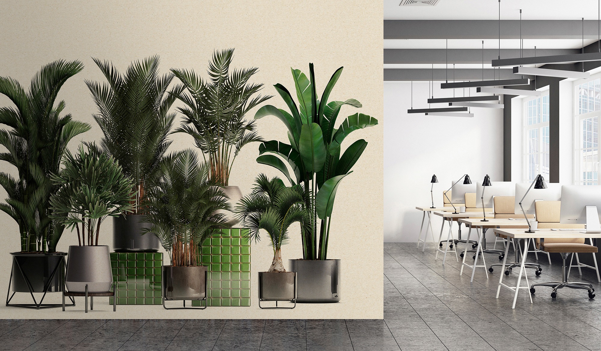 living walls Fototapete »Walls by Patel Plant Shop« glatt Vlies, Wand günstig online kaufen