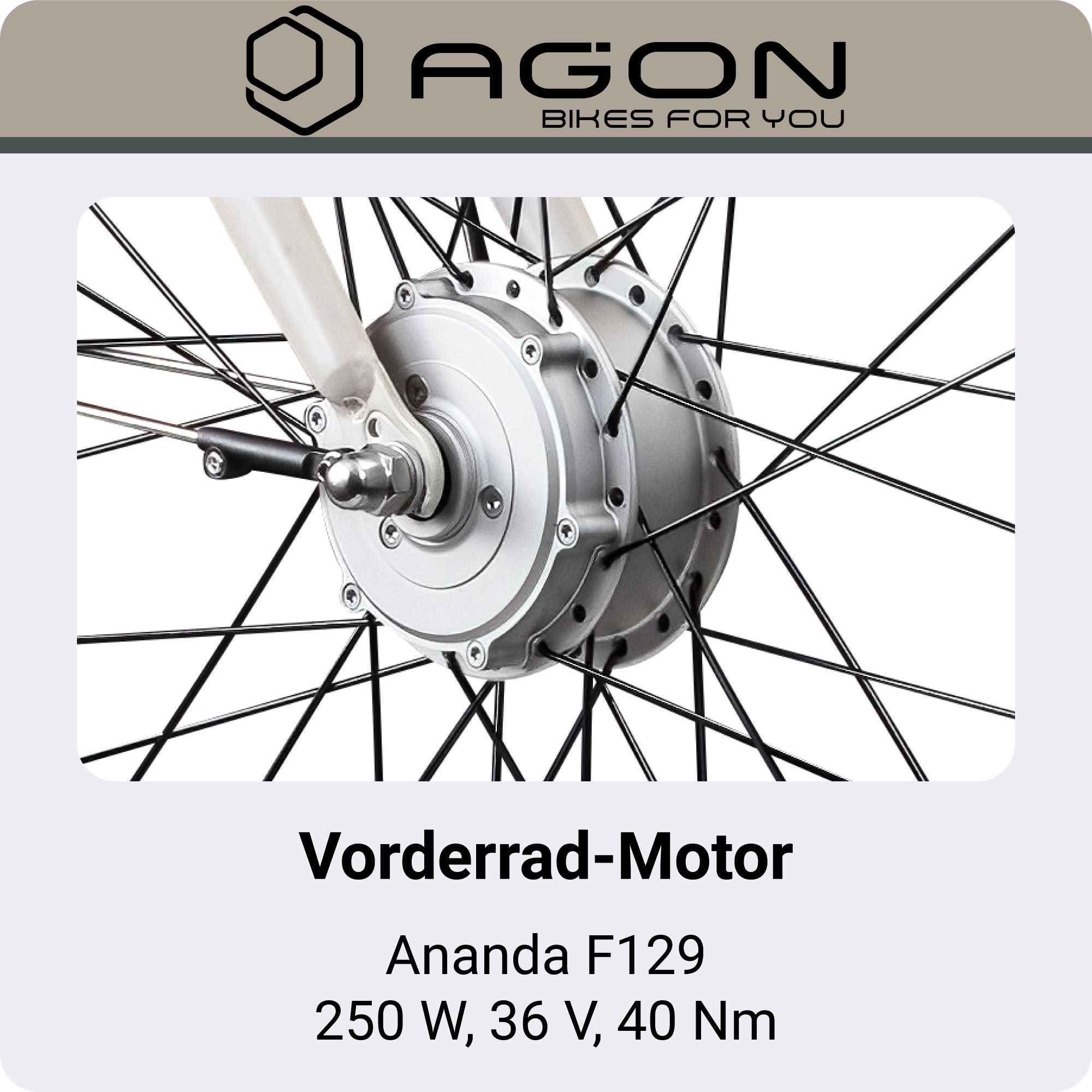 AGON »Axis« 3 Gang Nabenschaltung Frontmotor 250 W E-Bike 26" Citybike 140-165cm Pedelec Nabenmotor Fahrrad 3 Gang Licht