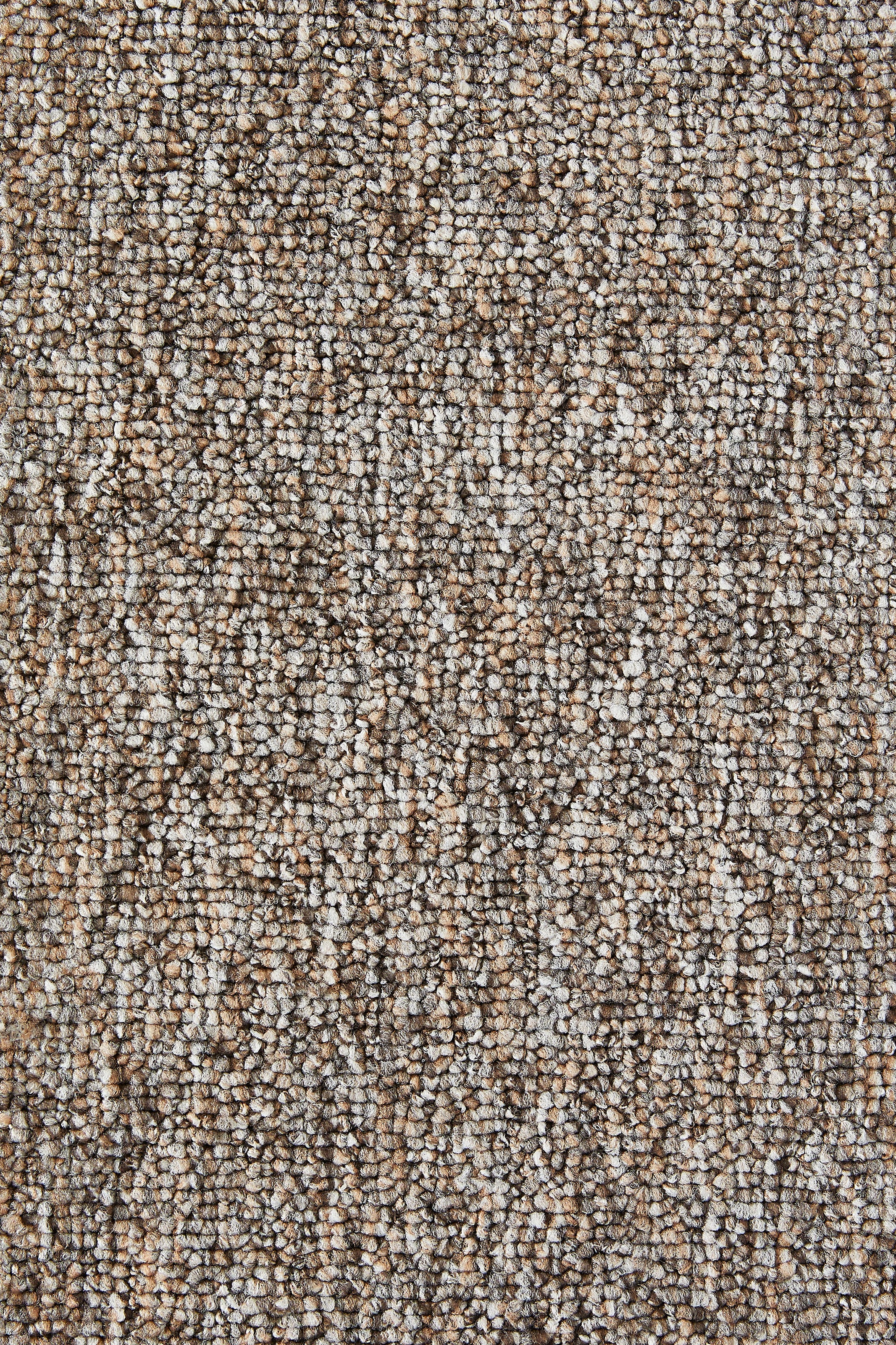 my home Teppichboden »Bruno, Schlinge«, rechteckig, 4 mm Höhe, meliert, Breite 400, robust, rutschsicher, 100% recyceltes Polyester
