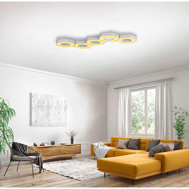 TRIO Leuchten LED Deckenleuchte »Solitaire«, 1 flammig-flammig, nur in  Verbindung mit Basismodell Art.-Nr. 73713753 verwendbar online kaufen