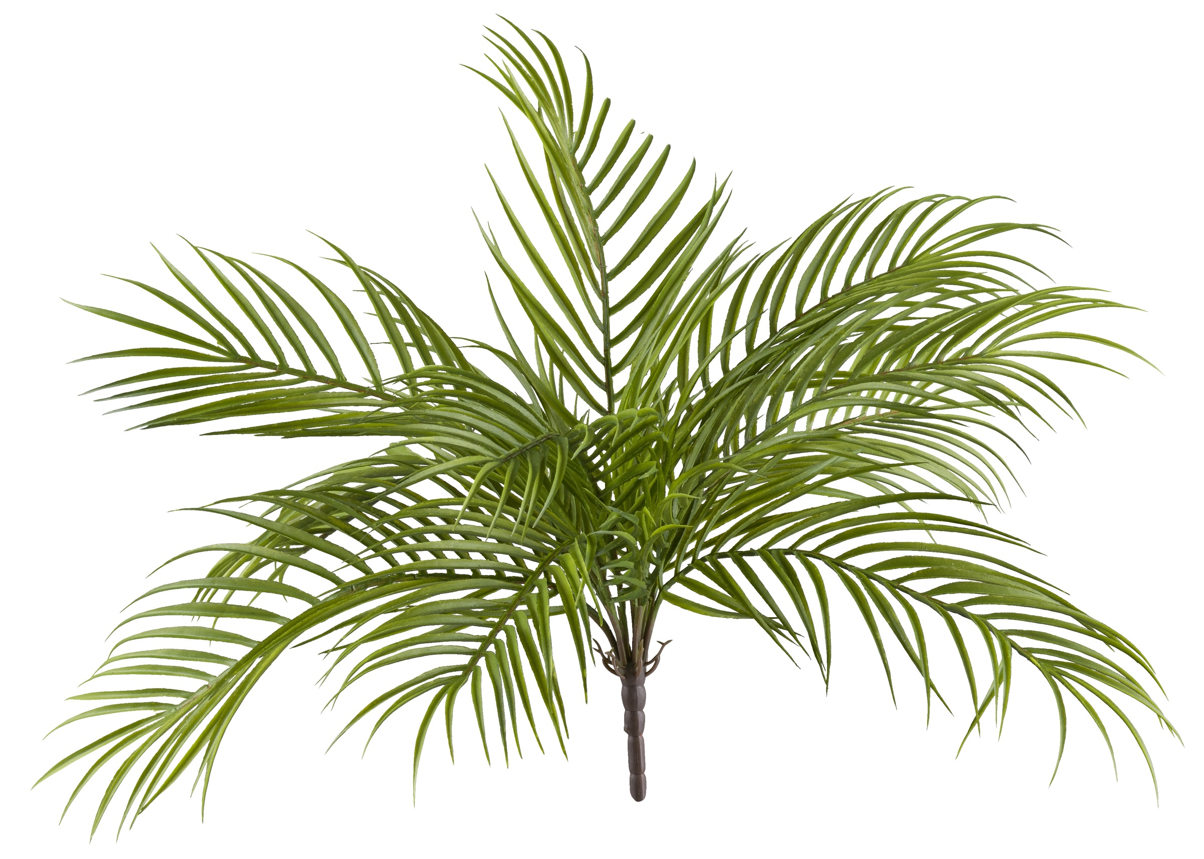 Creativ green Kunstpalme »Palmblattbusch«, mit naturgetreuen Palmwedeln