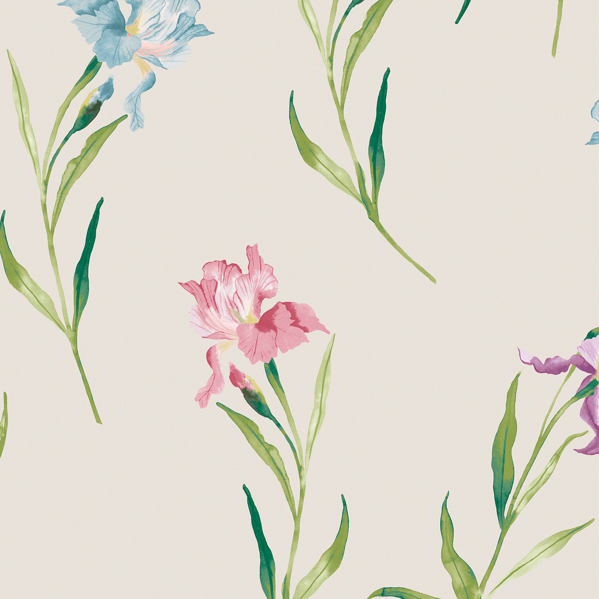 LAURA ASHLEY Vliestapete »Hawling Irises Soft Natural« geblümt glatt 10mx52cm (ca. 5m2)