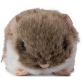 WWF Kuscheltier »Hamster 7 cm«, zum Teil aus recyceltem Material