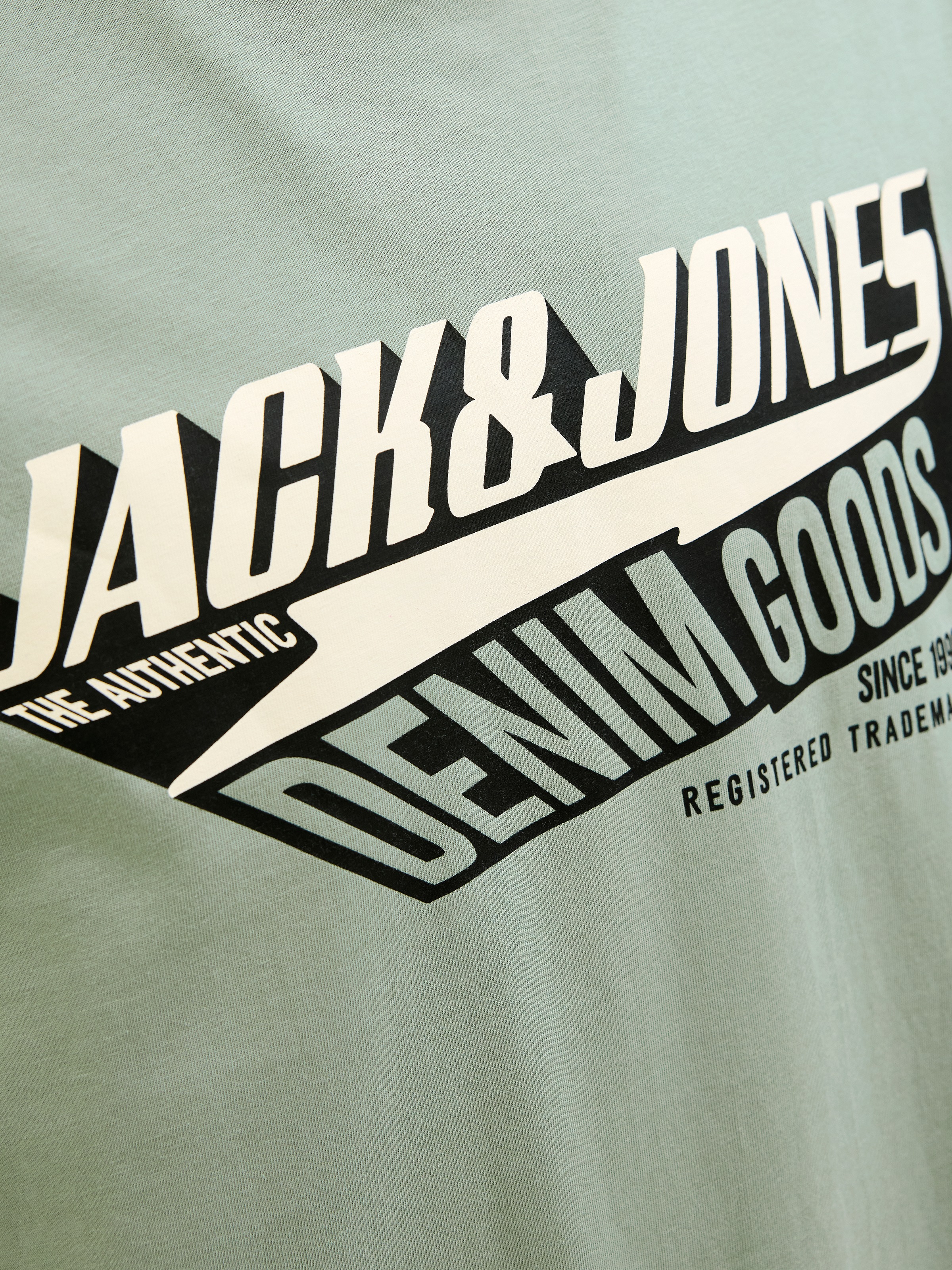 Jack & Jones PlusSize T-Shirt »JJELOGO TEE SS ONECK 2 COL AW25 NOOS PLS«