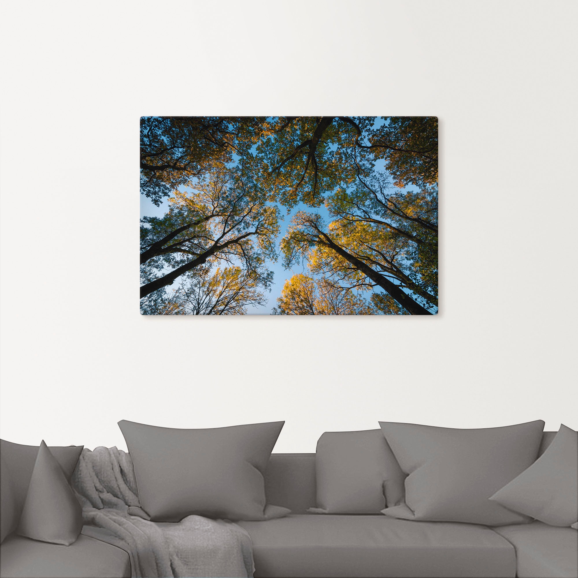 Artland Wandbild "Herbst im Wald", Bäume, (1 St.), als Alubild, Outdoorbild günstig online kaufen