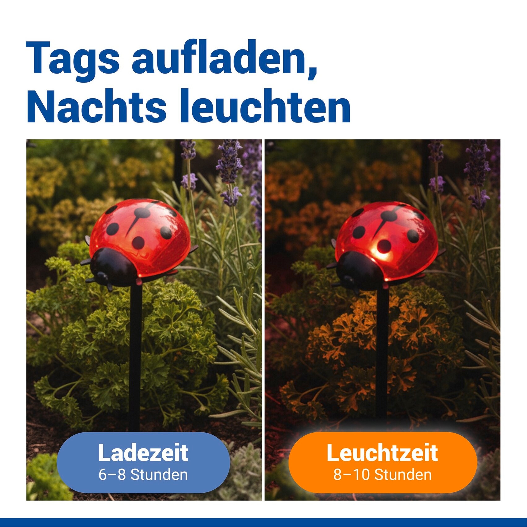 Maximex LED Gartenleuchte »Modell Marienkäfer« 4 Stk. Warmweiß Beetstecker, solarbetriebene Gartenbeleuchtung, leuchtet bis zu 10 Std