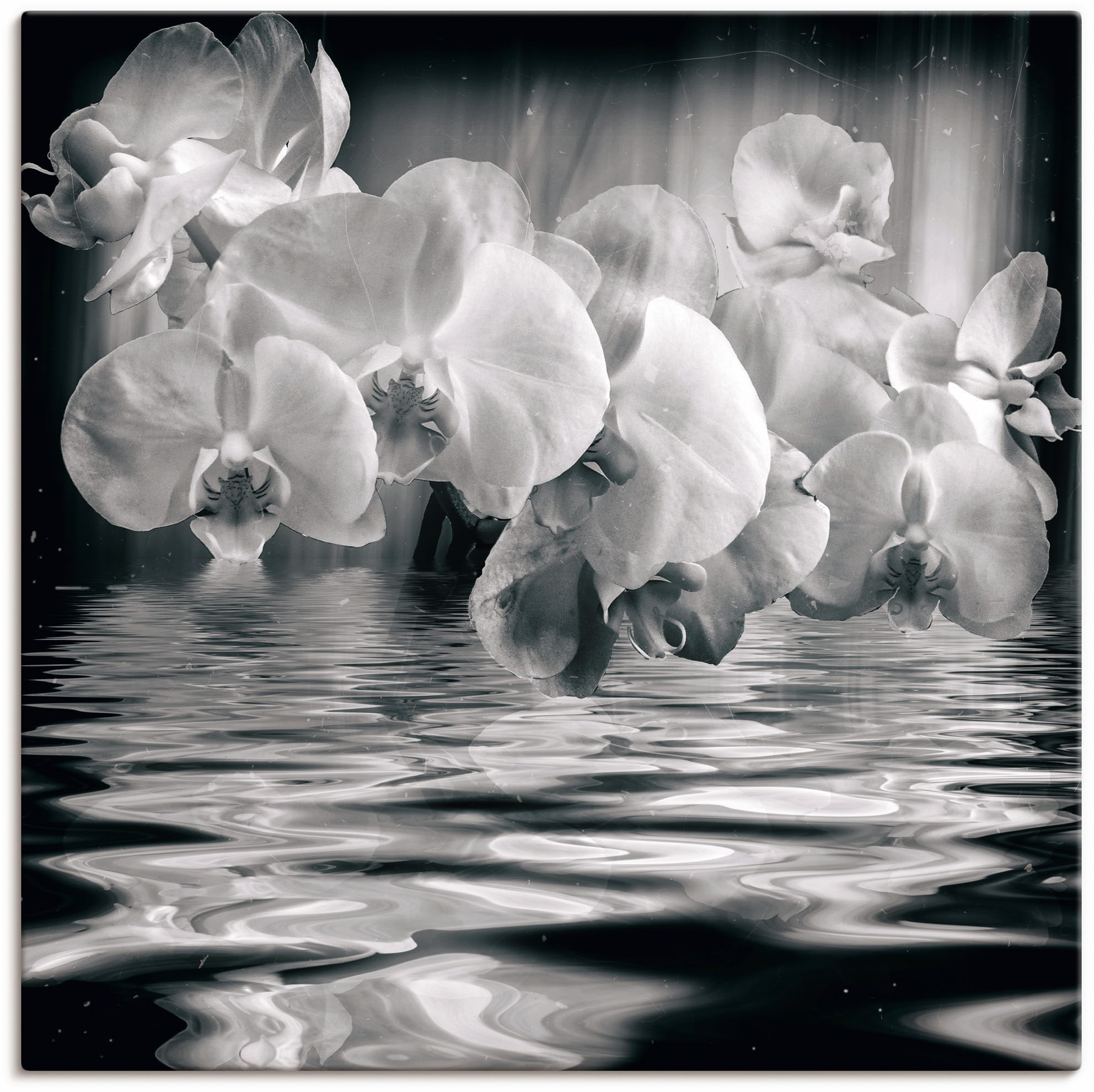 Artland Wandbild »Orchideen - monochrom«, Spa Bilder, (1 St.), als Leinwand günstig online kaufen